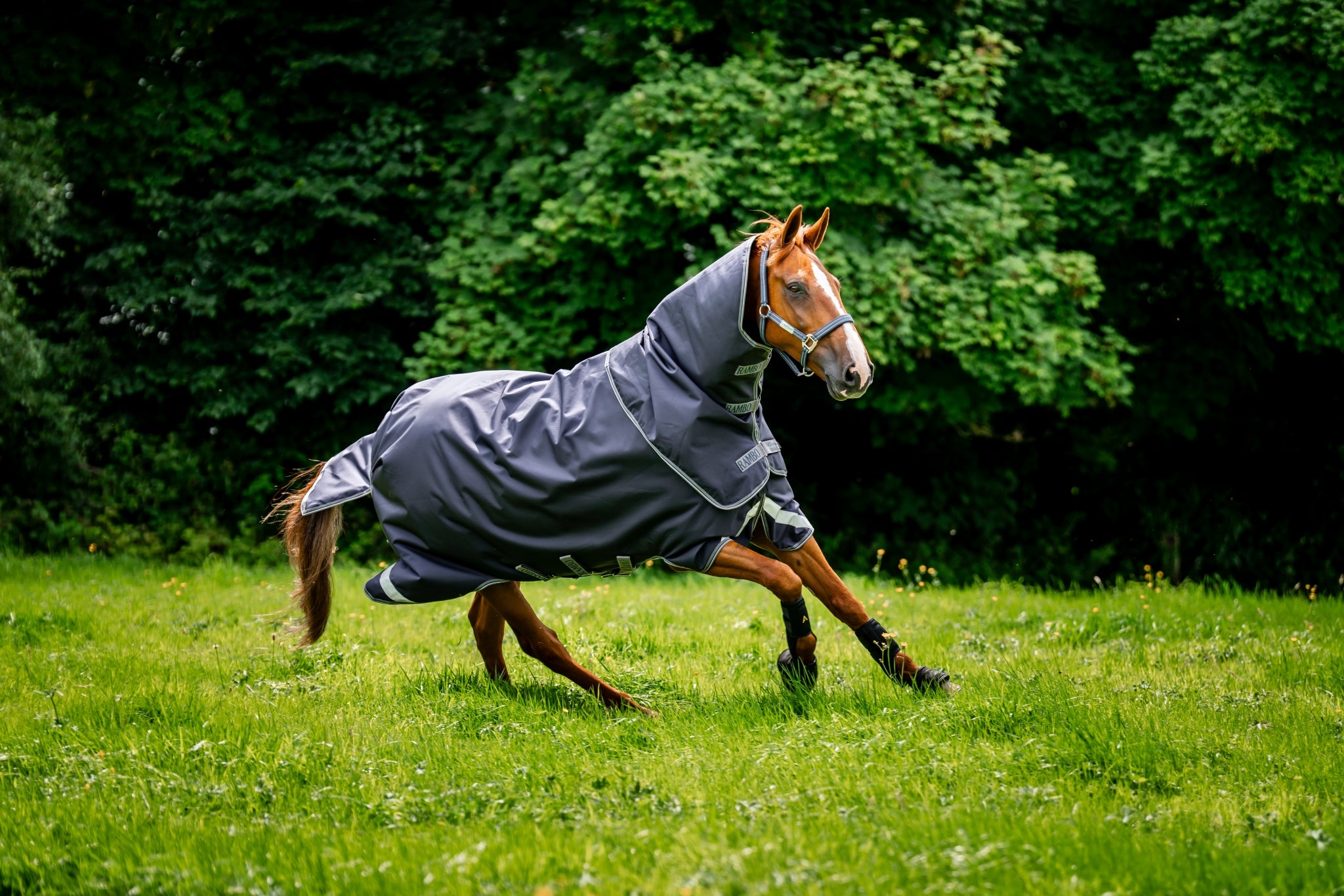 Rambo Duo Ripstop Plus Turnout Bundle