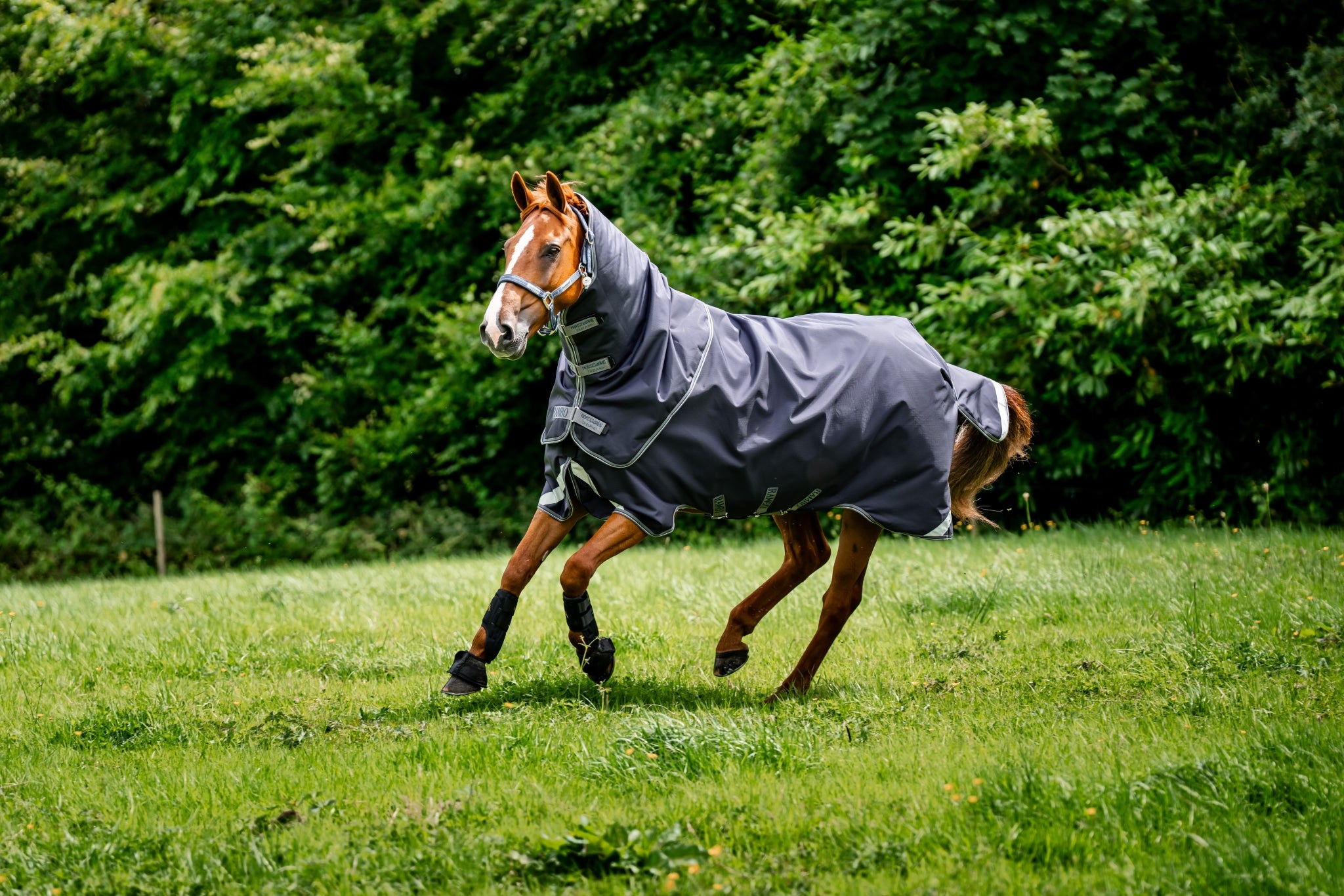 Rambo Duo Ripstop Plus Turnout Bundle