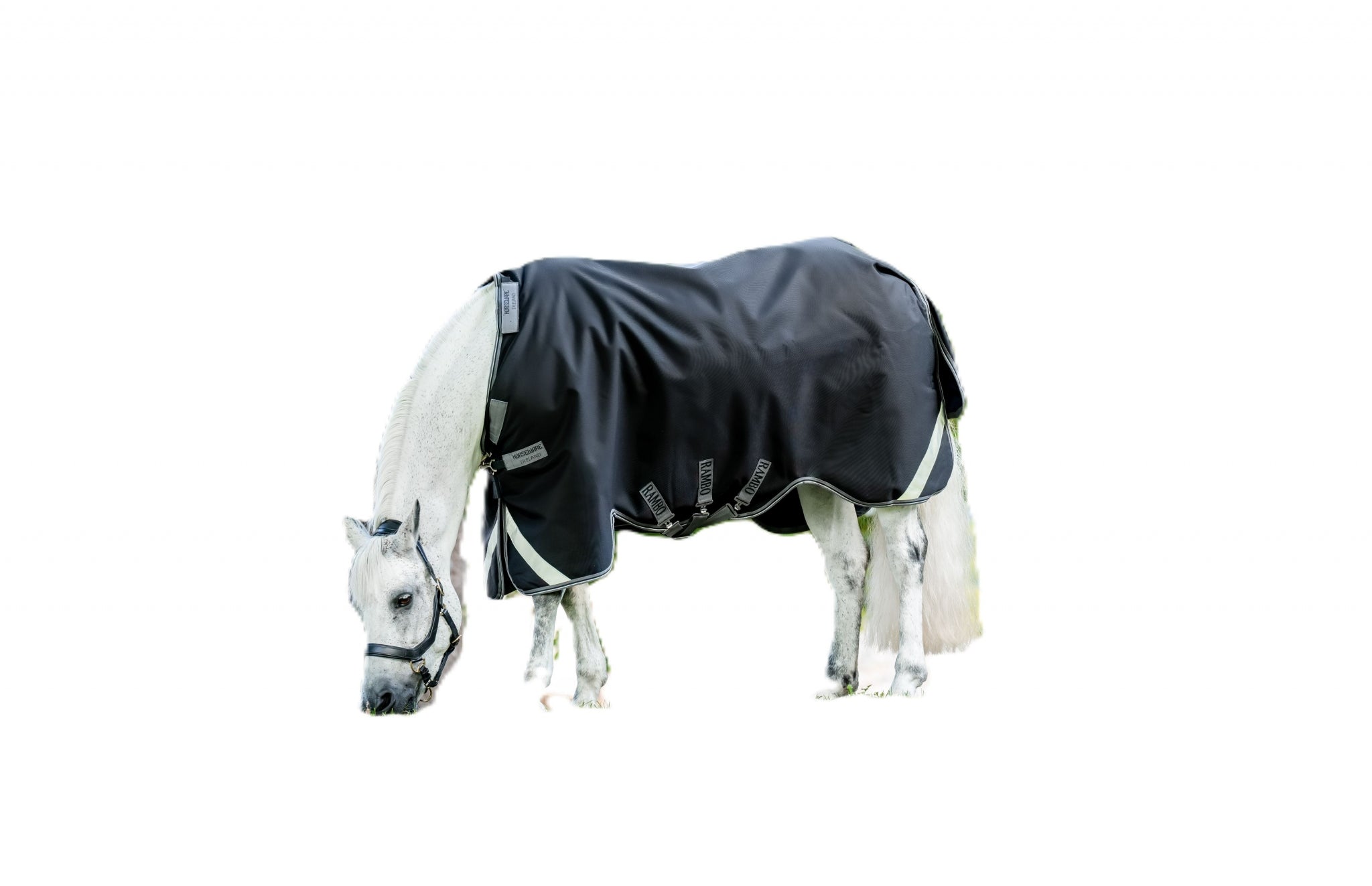 Rambo 1680D Turnout 100g