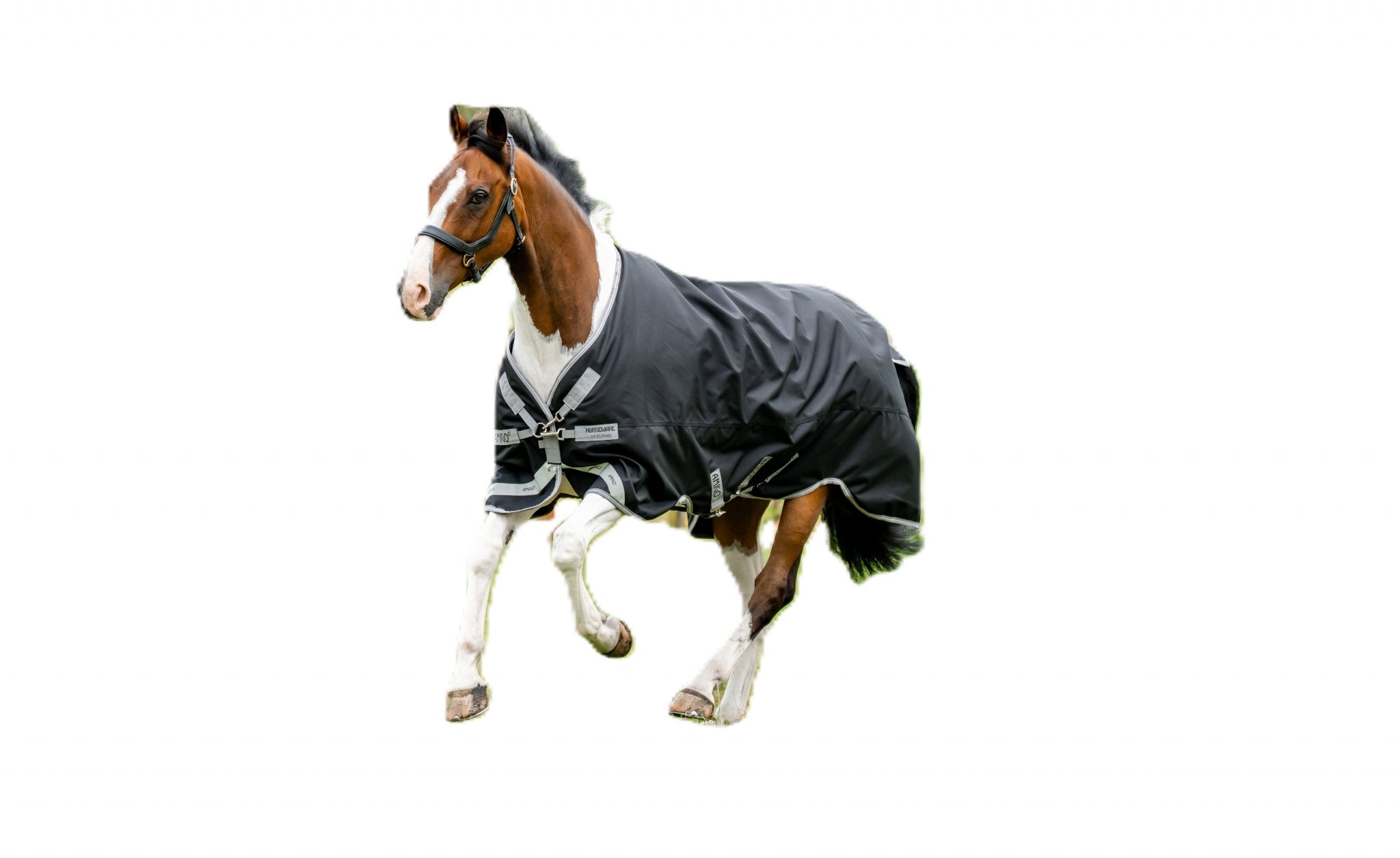 Amigo 1200D Turnout 100g