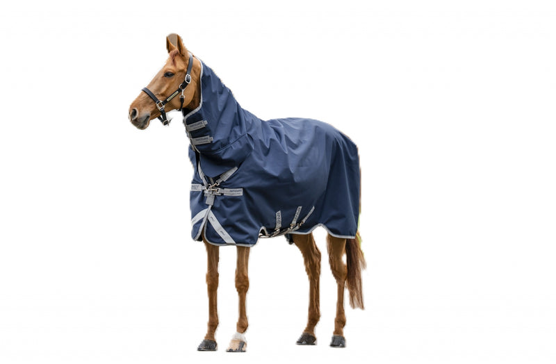 Amigo 1200D Integrated Turnout 0g