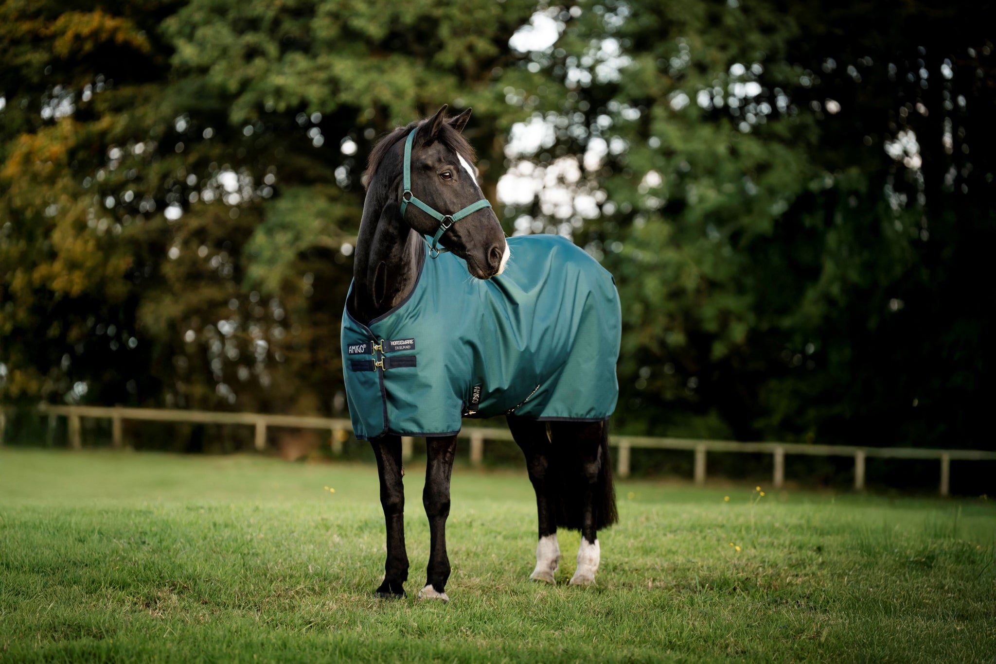 Amigo Ripstop 900D Pony Turnout 0g