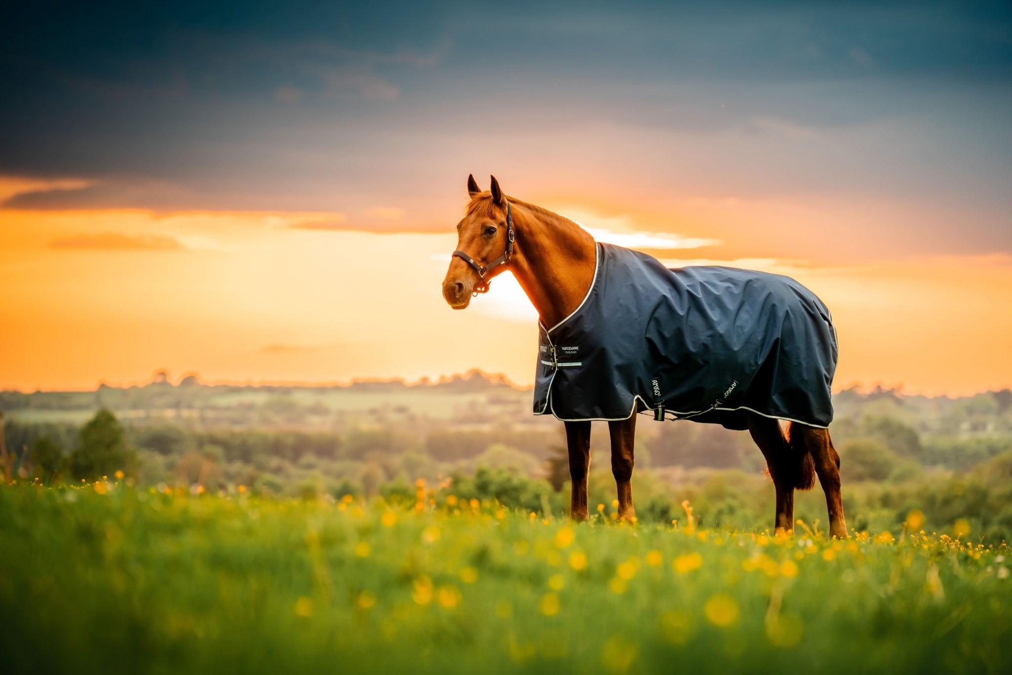 Amigo Ripstop 900D Pony Turnout 50g