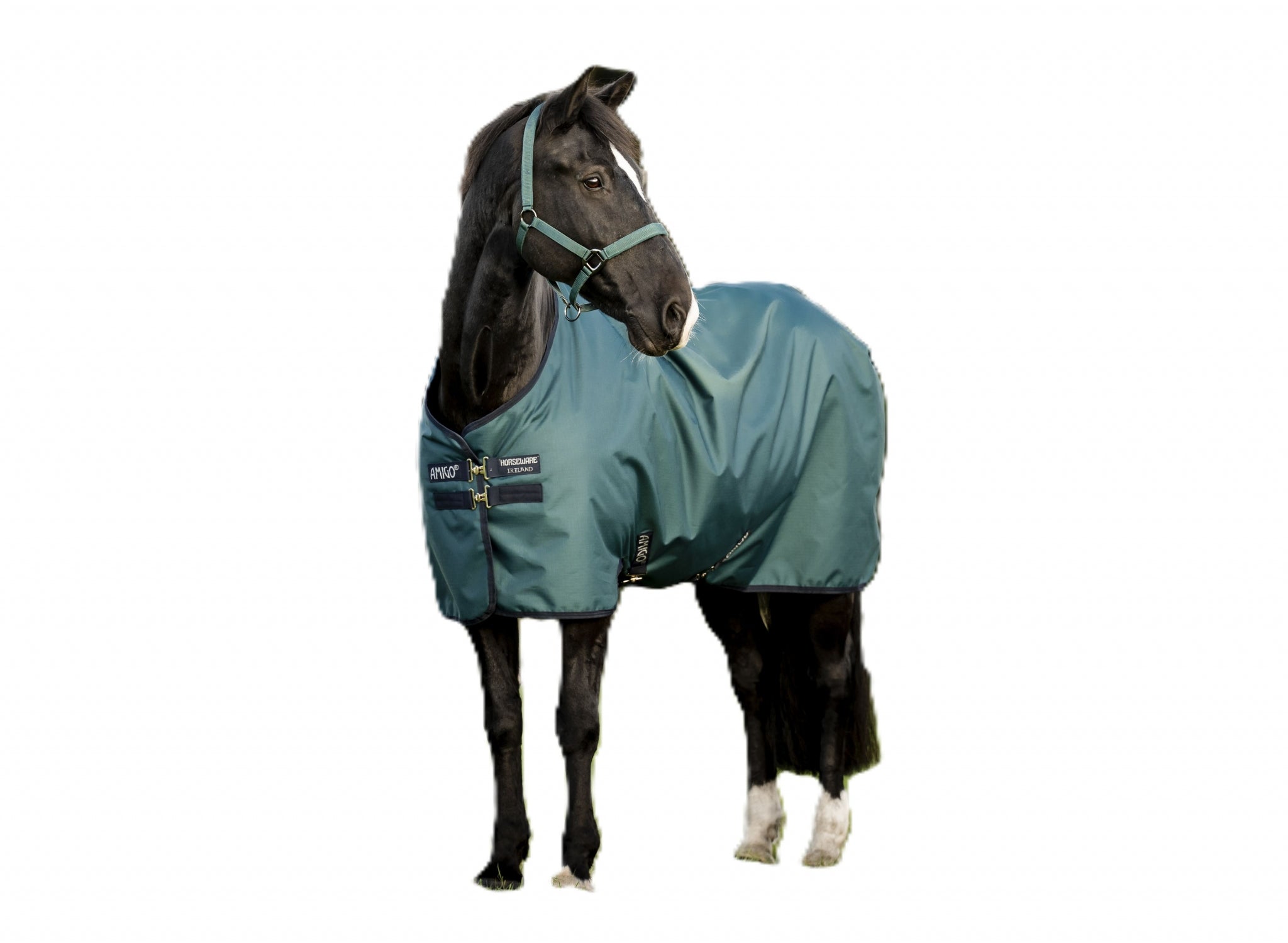 Amigo Ripstop 900D Pony Turnout 100g