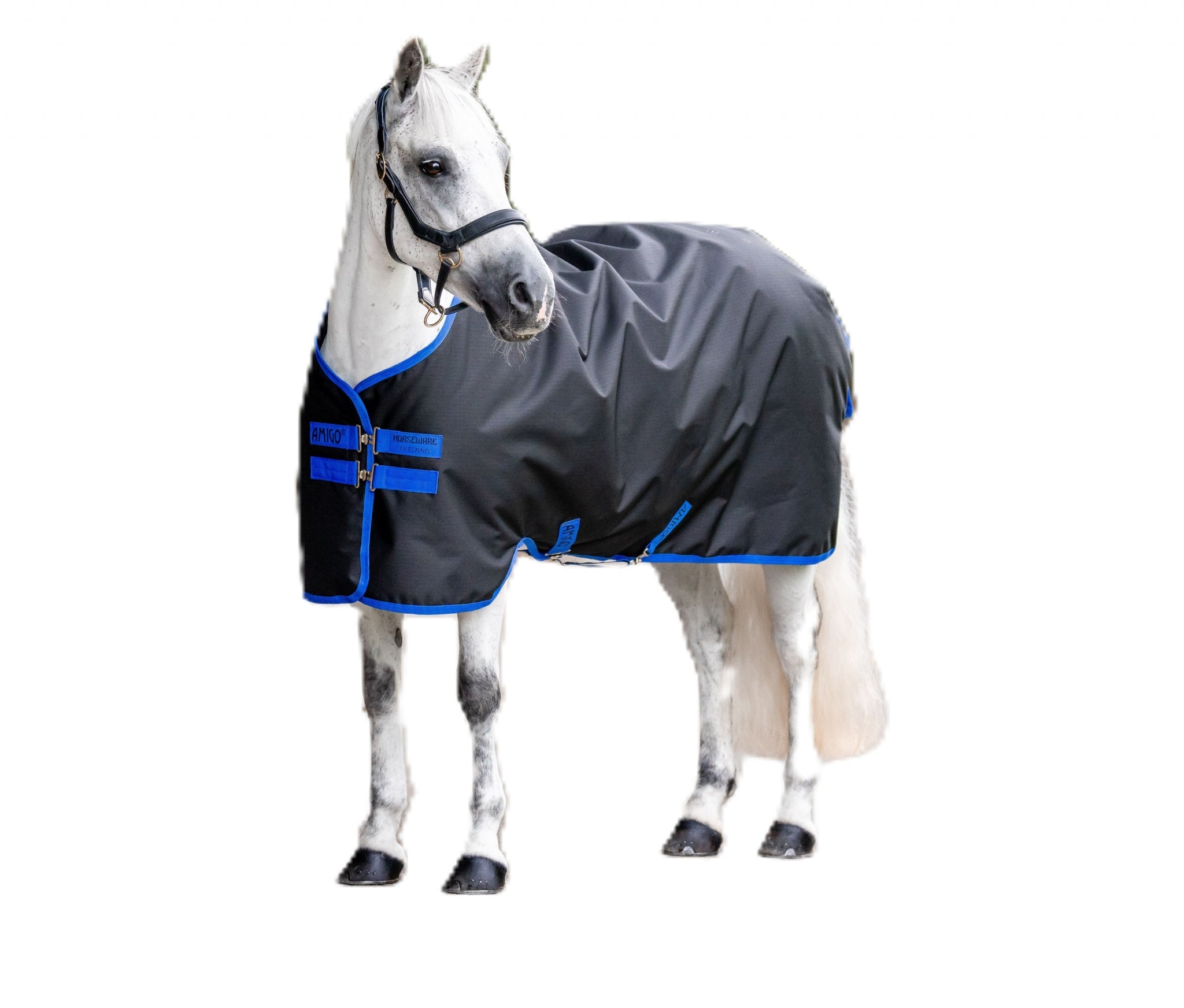 Amigo Ripstop 900D Pony Turnout 100g