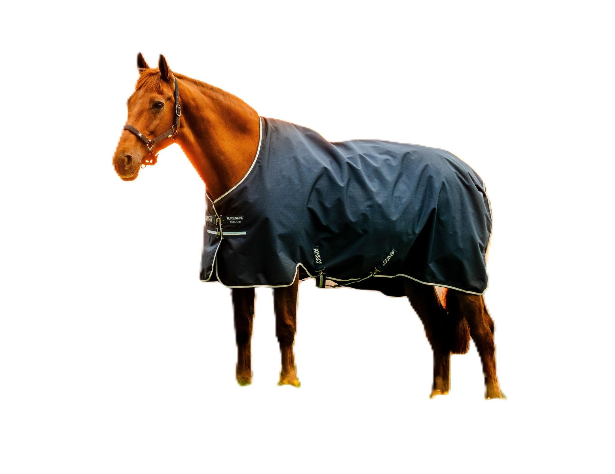 Amigo Ripstop 900D Pony Turnout 100g