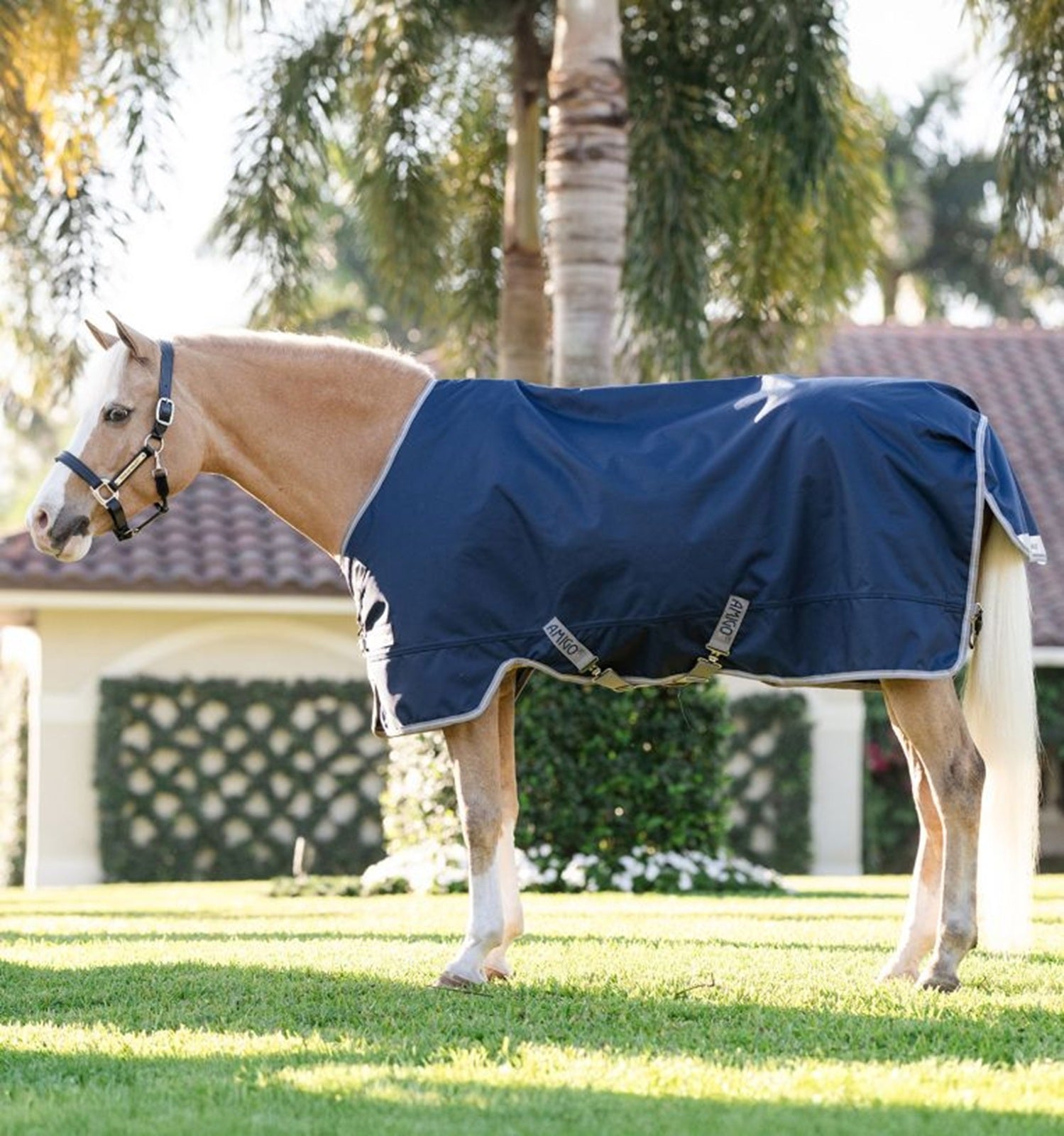 Amigo 1200D Pony Turnout 50g