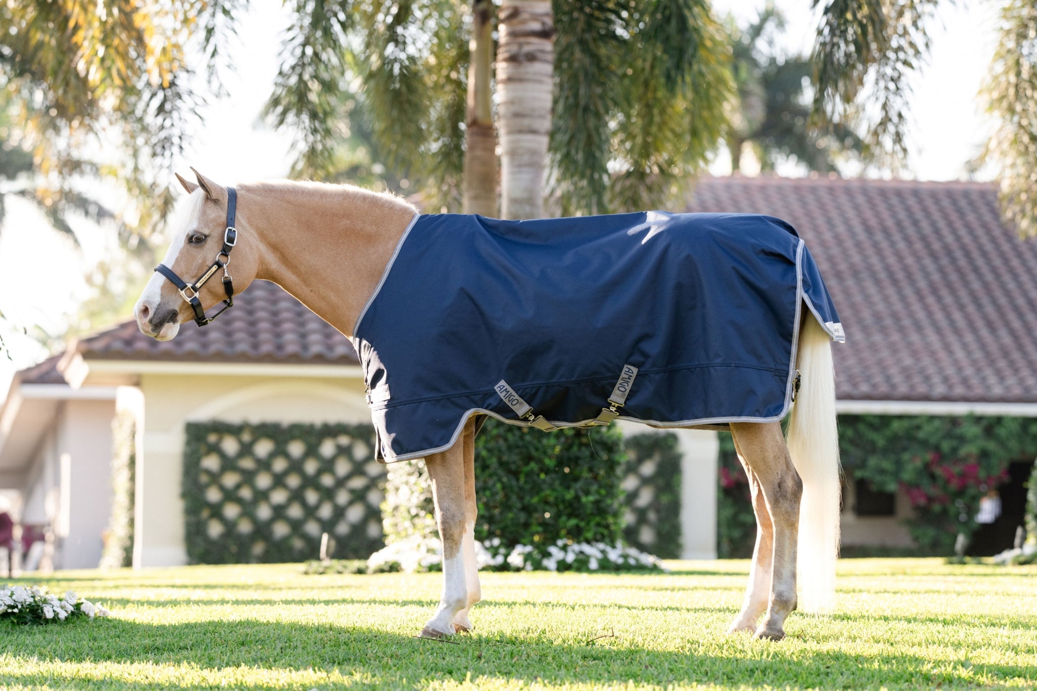 Amigo 1200D Pony Turnout 250g