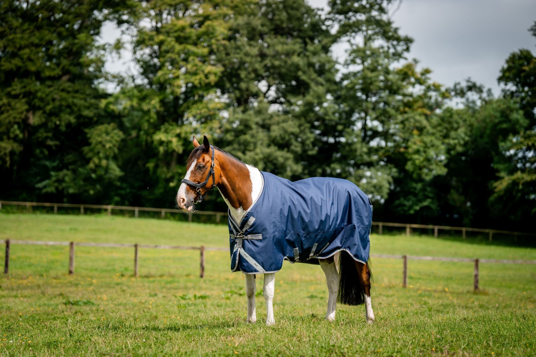 Amigo 1200D XL Turnout 50g