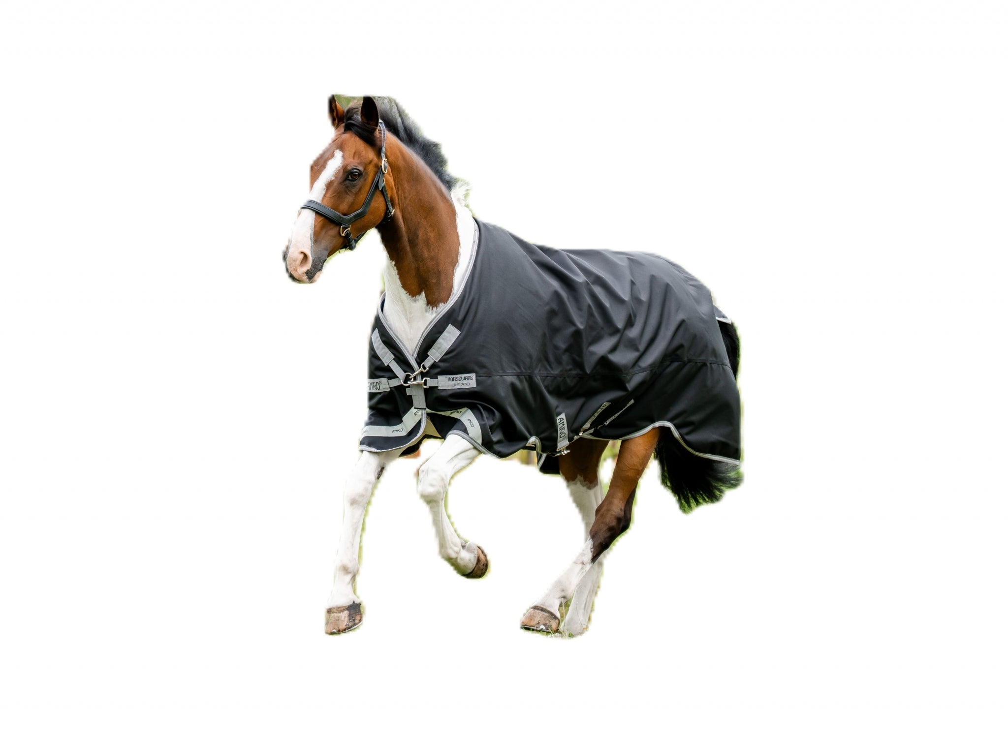 Amigo 1200D XL Turnout 50g