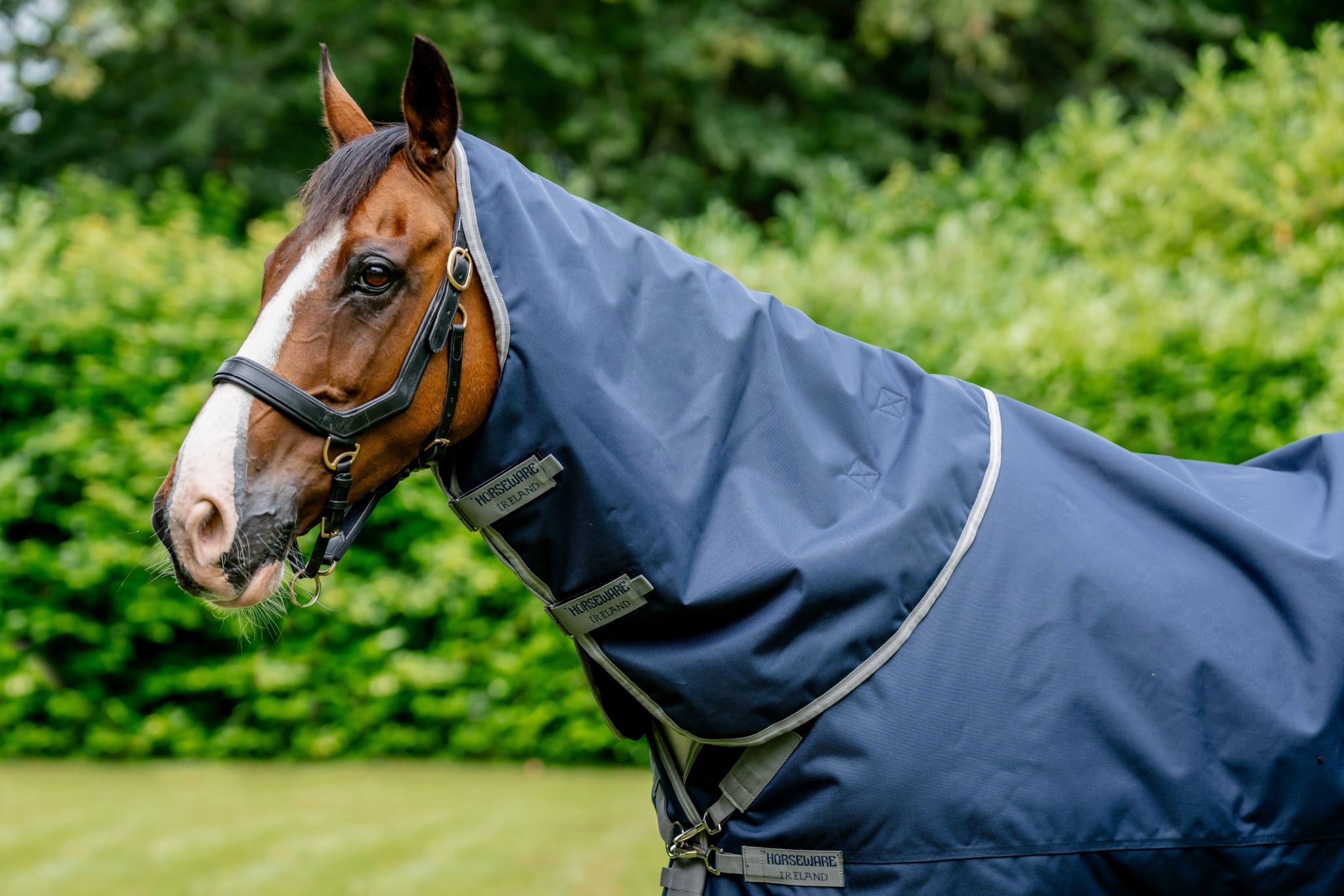 Amigo 1200D XL Hood 150g