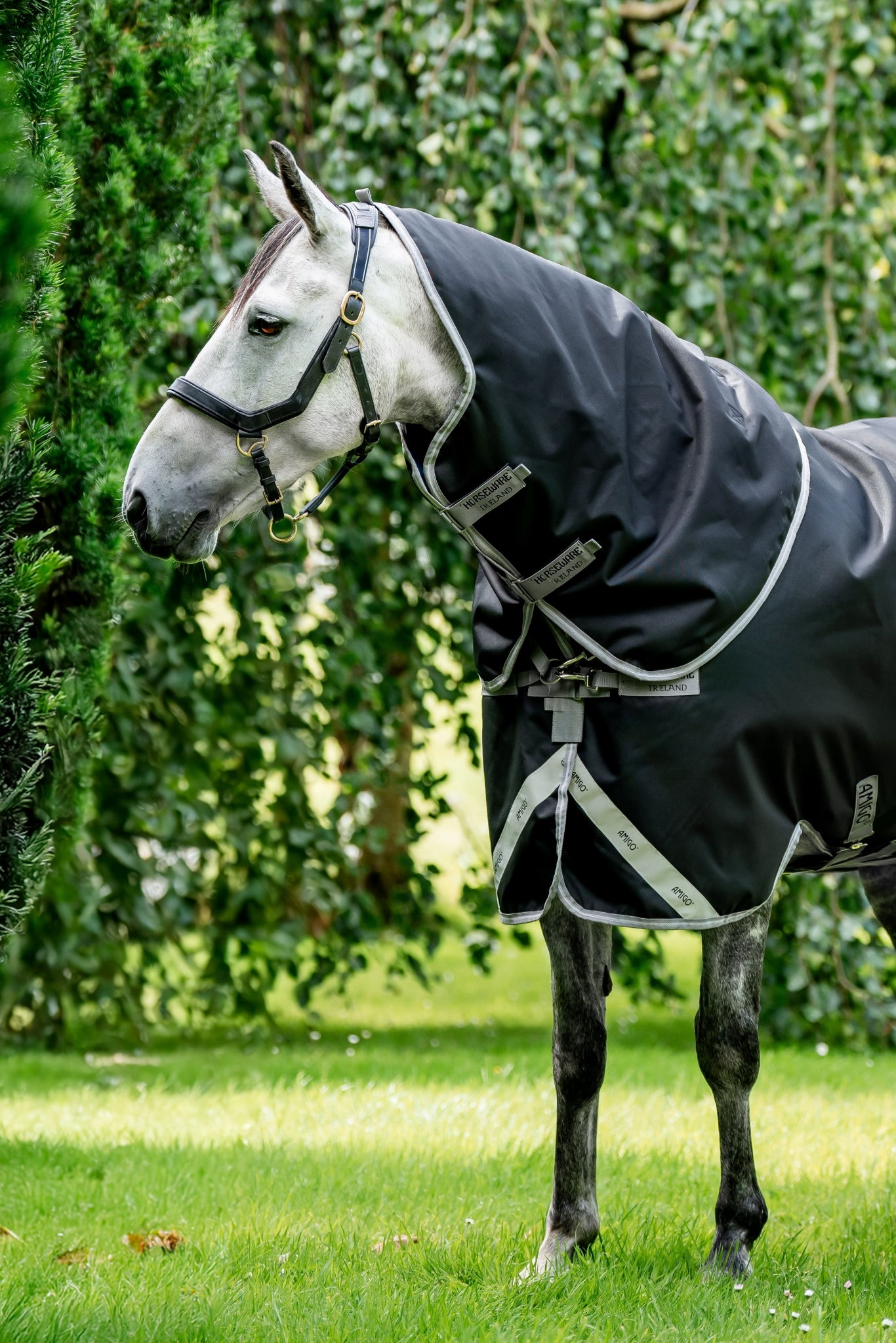 Amigo 1200D XL Hood 150g