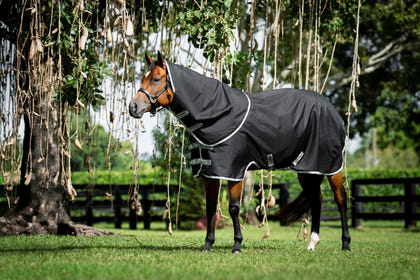 Amigo Ripstop 900D Quarter Horse Turnout Hood 150g