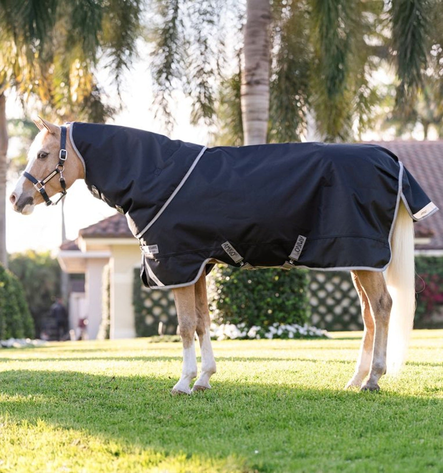 Amigo 1200D Plus Pony Turnout 250g