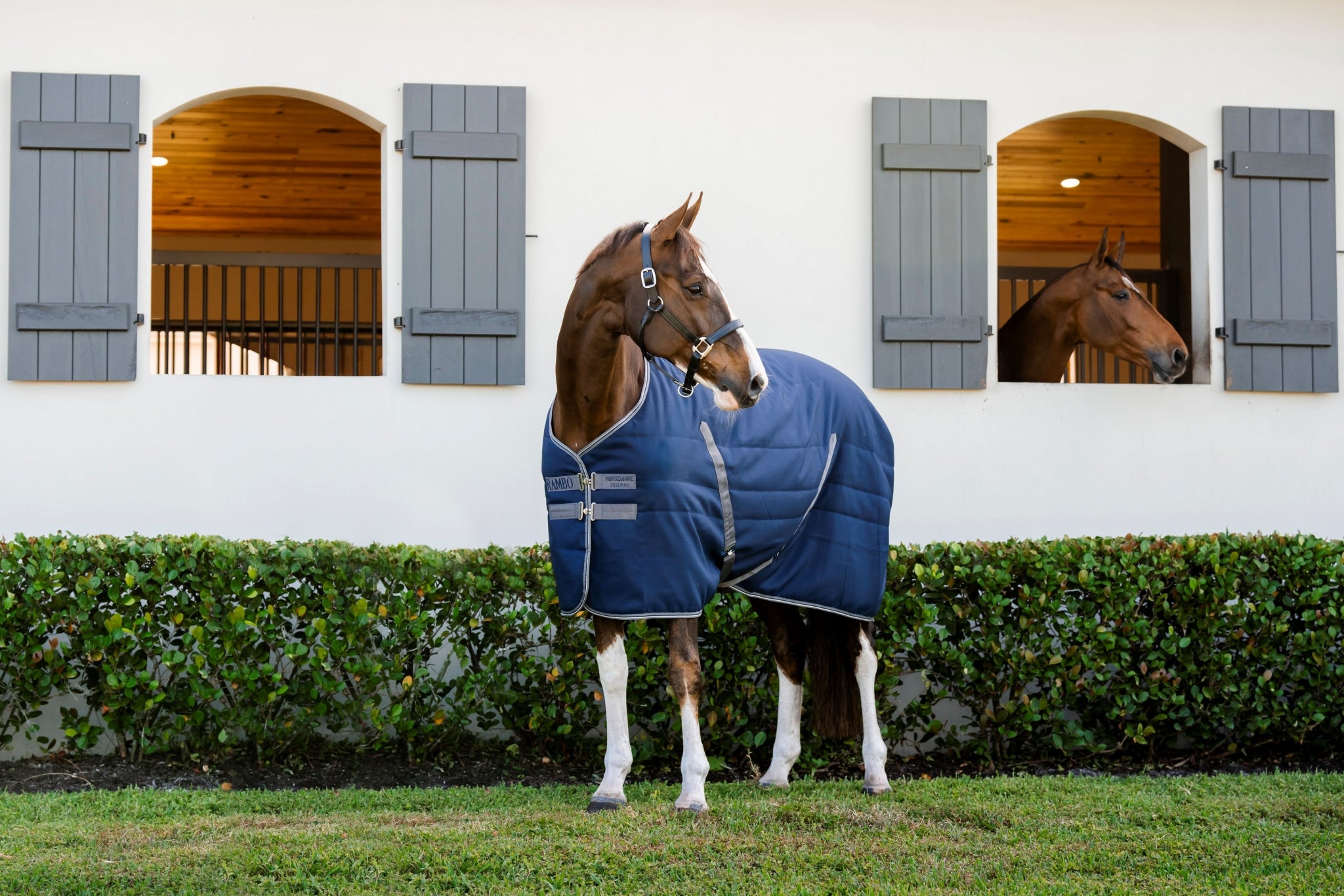 Rambo Stable 200g Embossed Lining