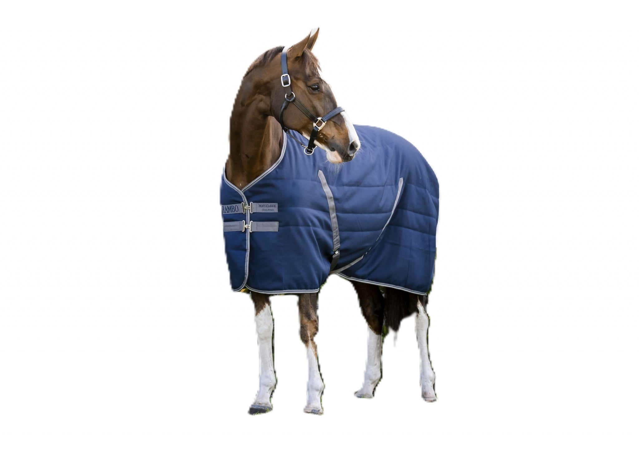 Rambo Stable 100g Embossed Lining