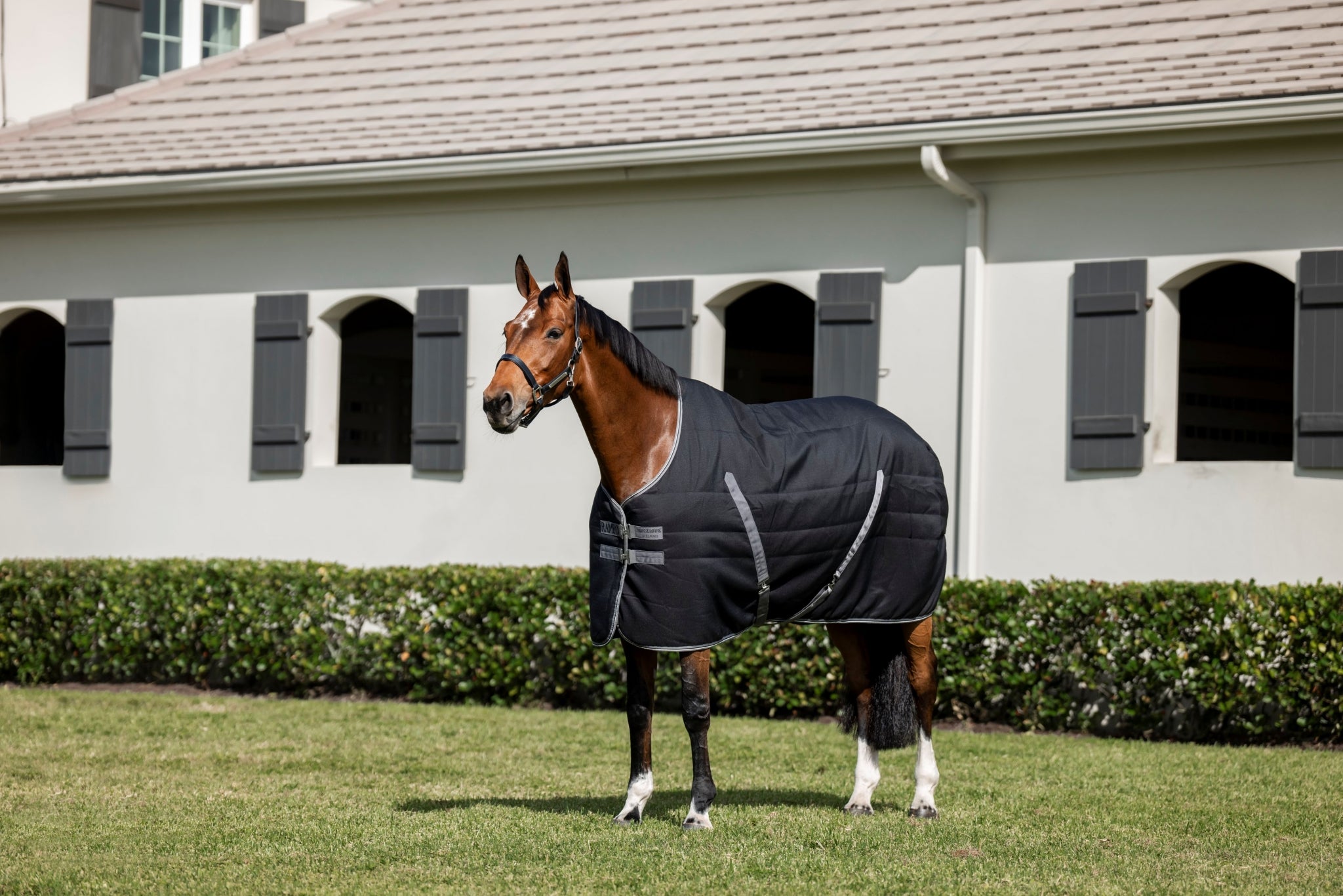 Rambo Stable 100g Embossed Lining