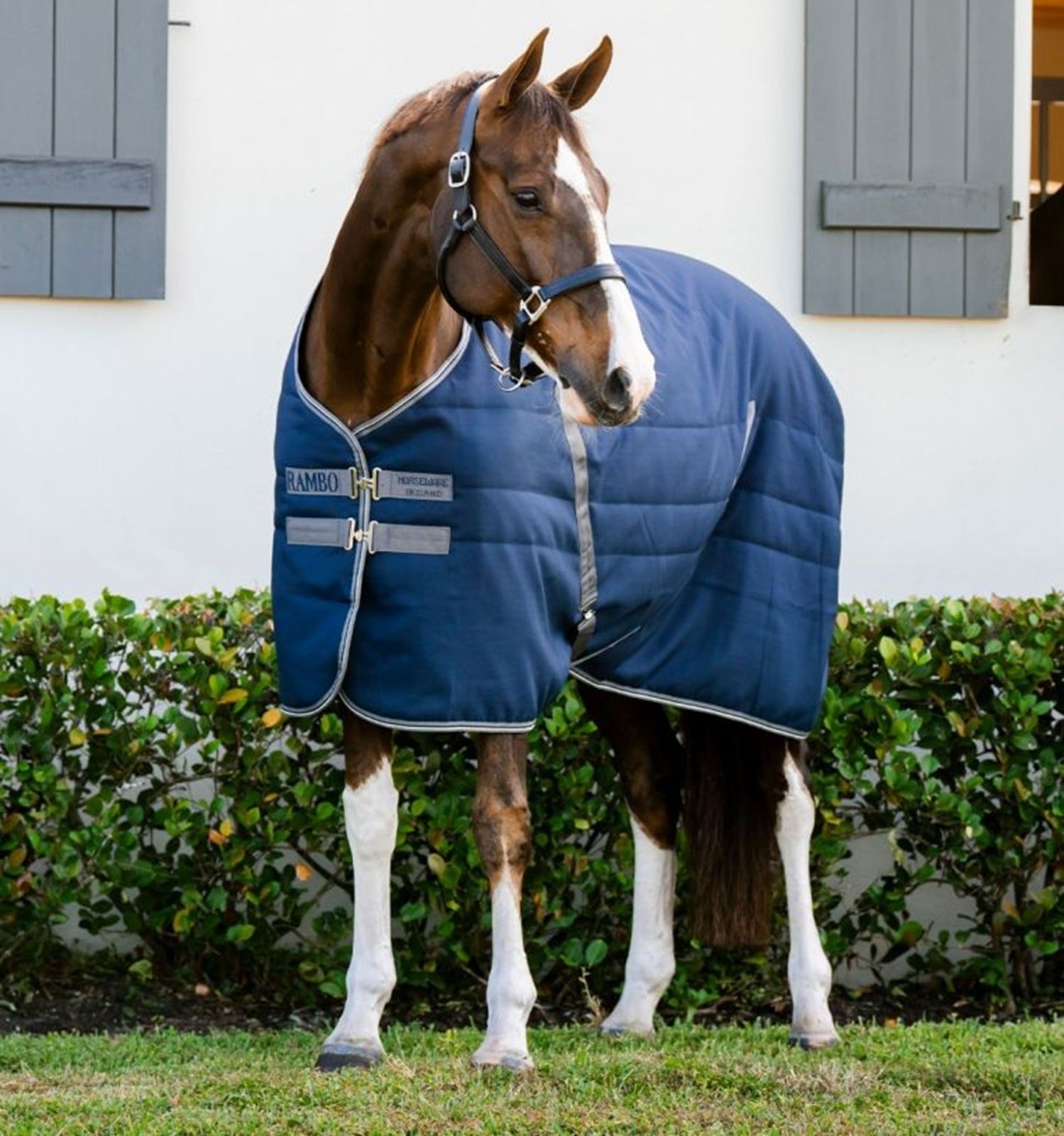 Rambo Stable 400g Embossed Lining
