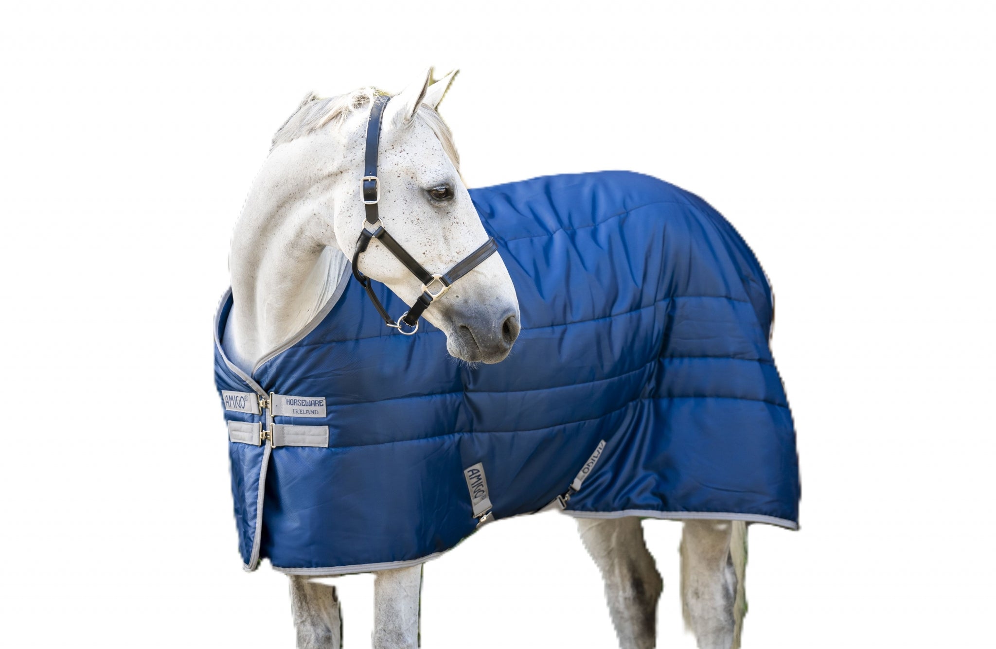 Amigo RS Insulator Pony Stable 100g