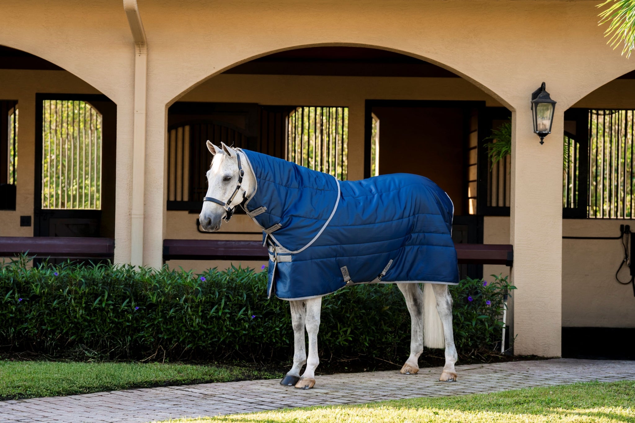 Amigo RS Insulator Plus Stable 200g