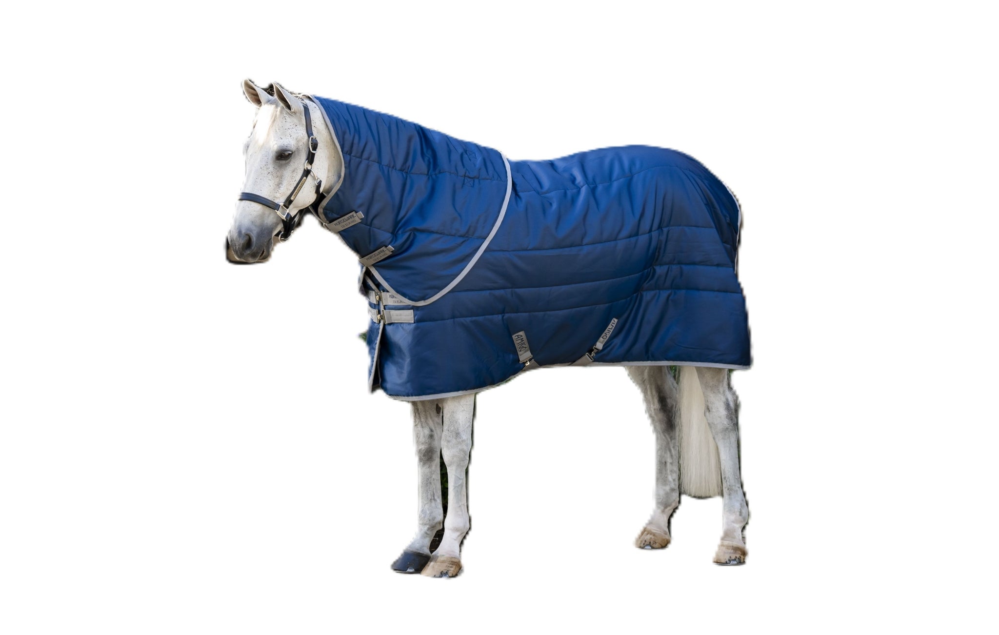 Amigo RS Insulator Plus Stable 200g