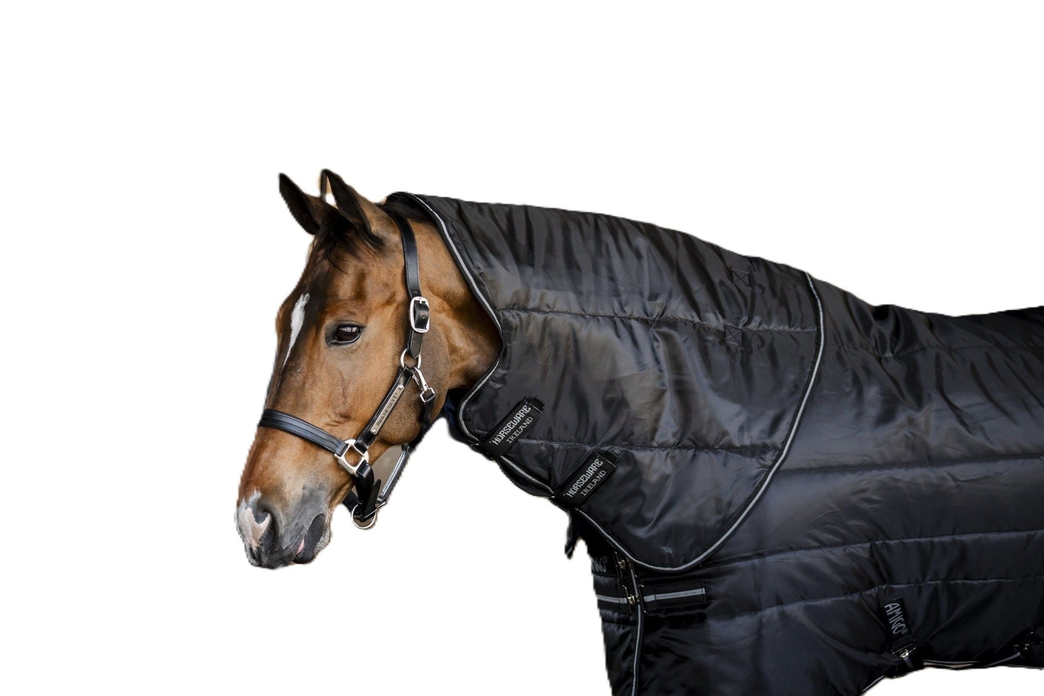 Amigo RS Insulator Plus Stable 200g
