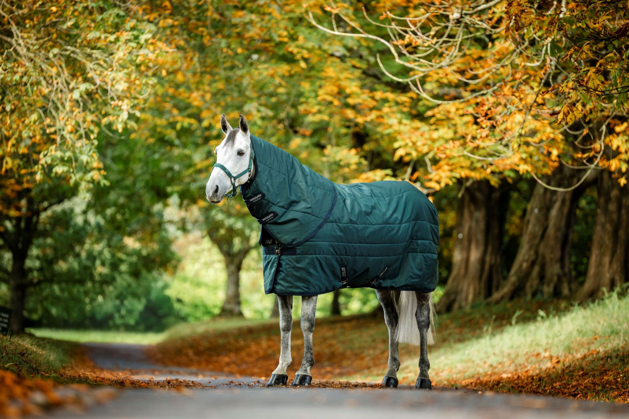 Amigo RS Insulator Stable Hood 100g