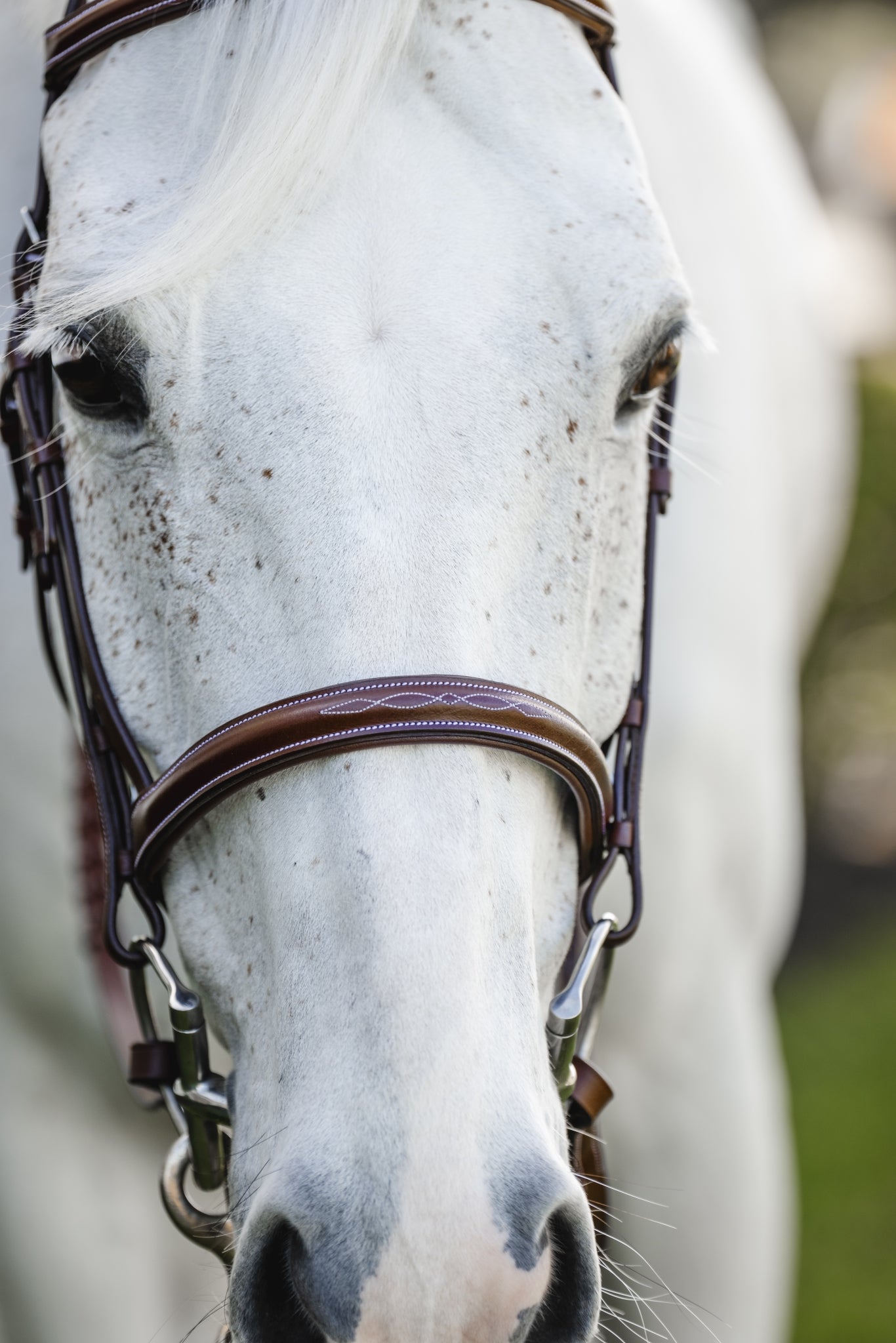 Horseware Pony Hunter Cavesson Bridle with Reins