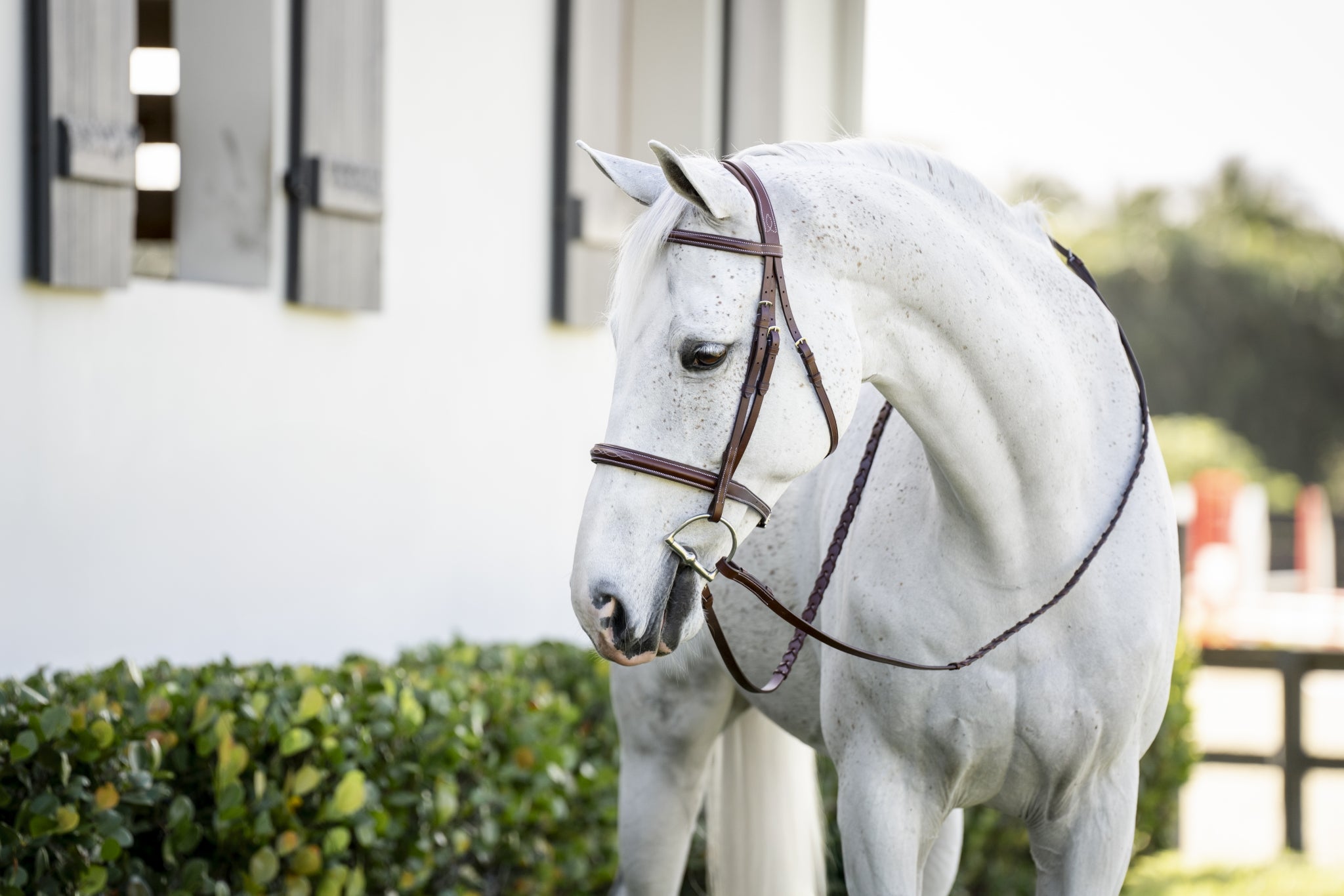 Horseware Pony Hunter Cavesson Bridle with Reins
