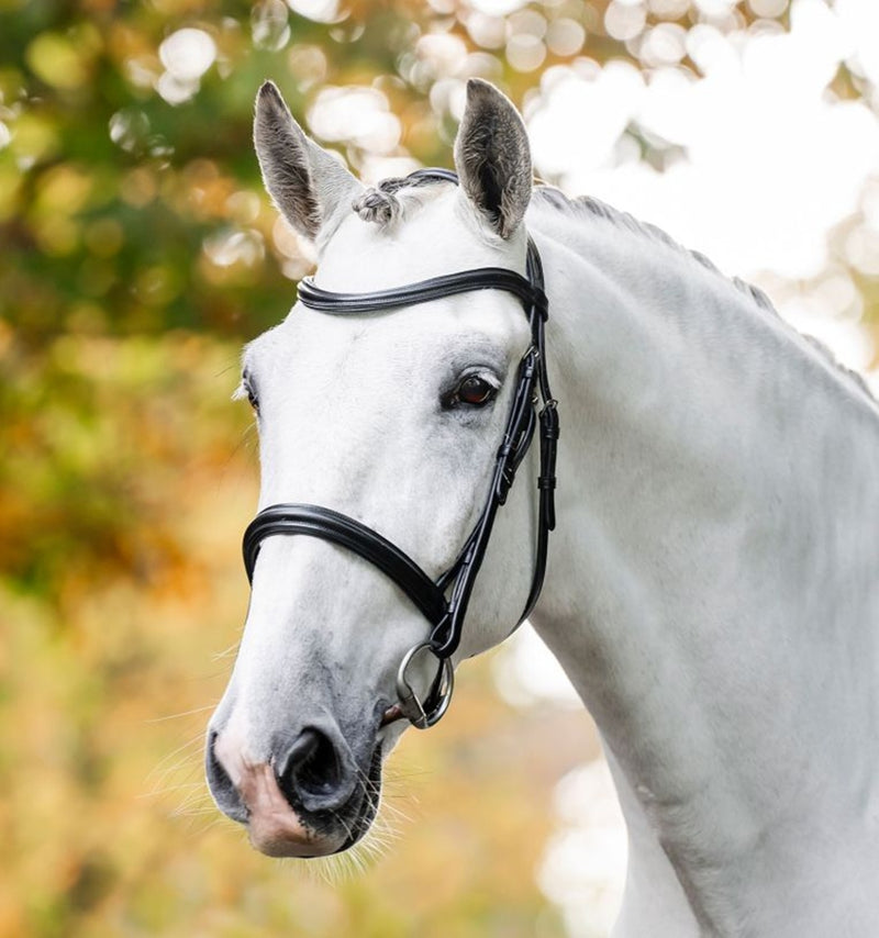 Horseware Cavesson Bridle