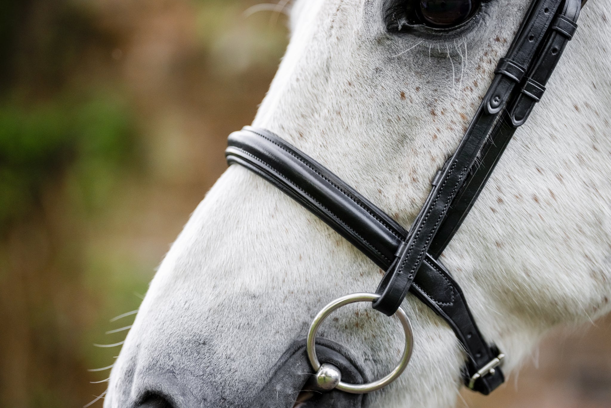 Horseware Pony Cavesson Bridle