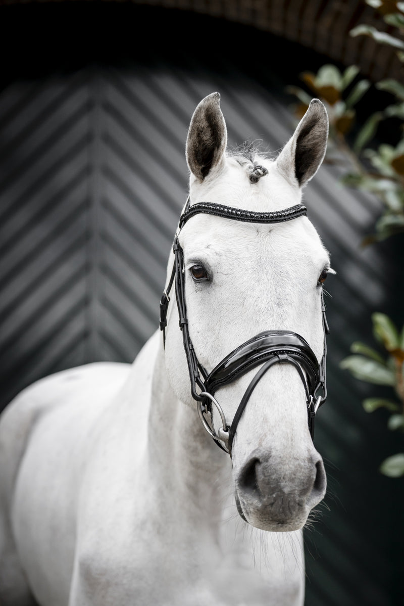 Horseware Diamante Flash Bridle