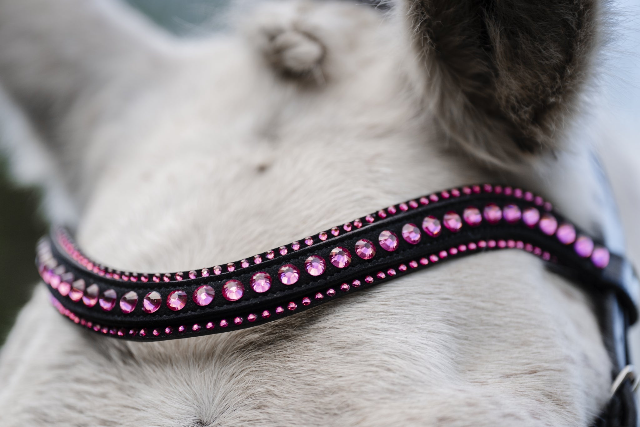 Horseware Pony Diamante Flash Bridle