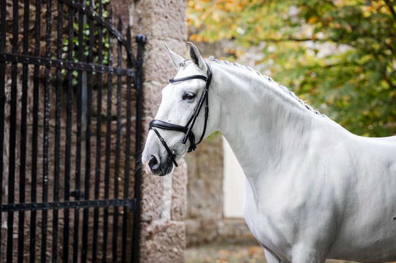 Horseware Dressage Flash Bridle