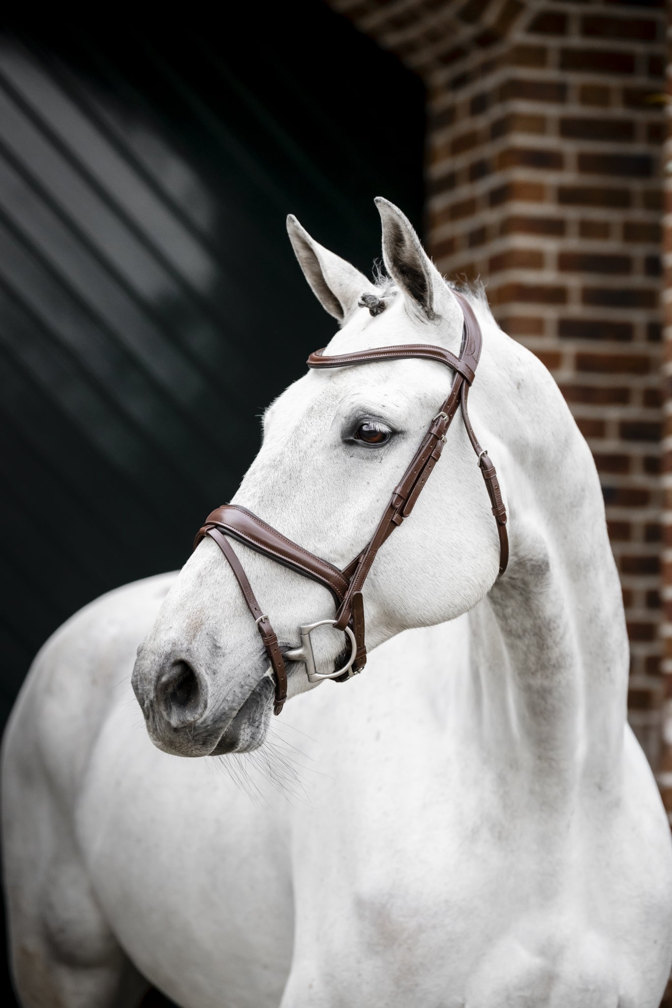 Horseware Dressage Flash Bridle