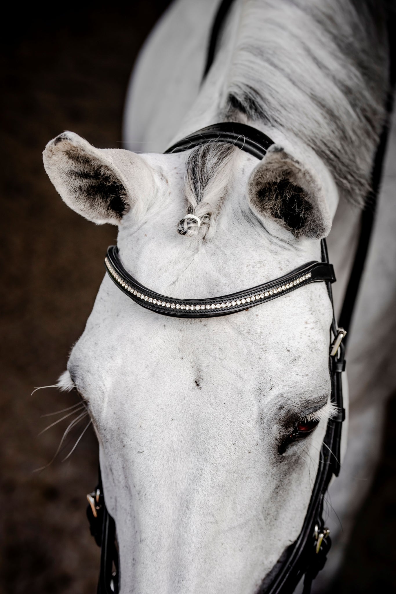 Horseware Micklem Diamante Competition