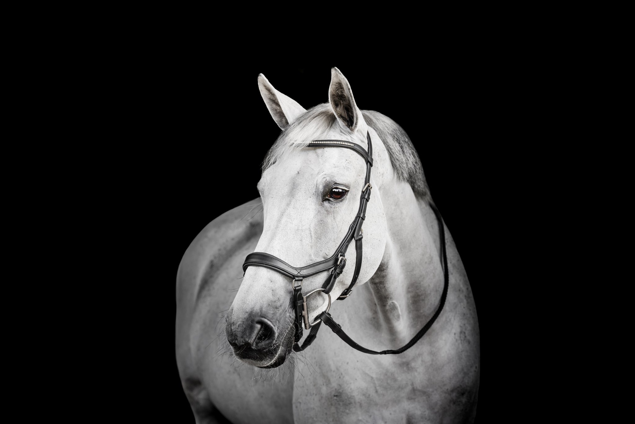 Horseware Micklem Diamante Competition