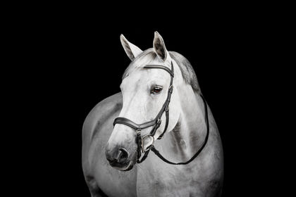 Horseware Micklem Diamante Competition