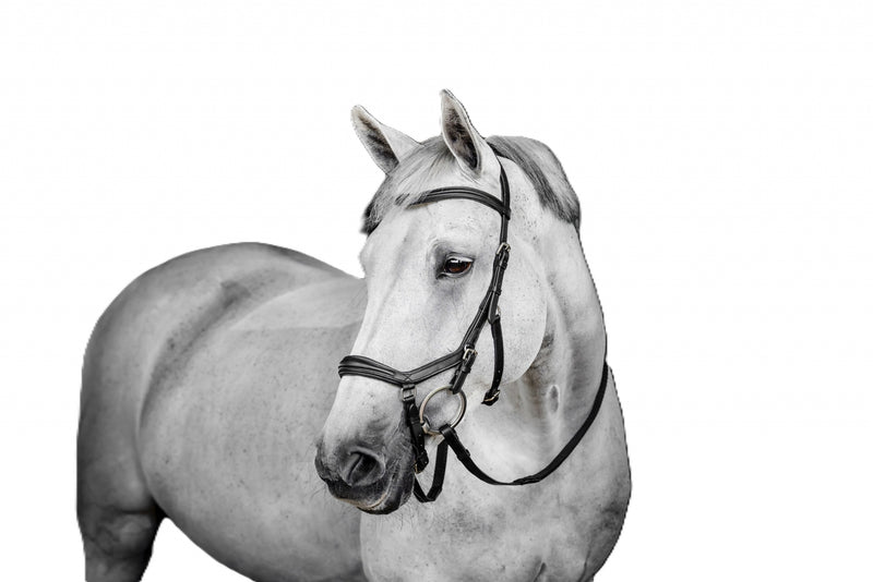 Horseware Micklem Deluxe Competition