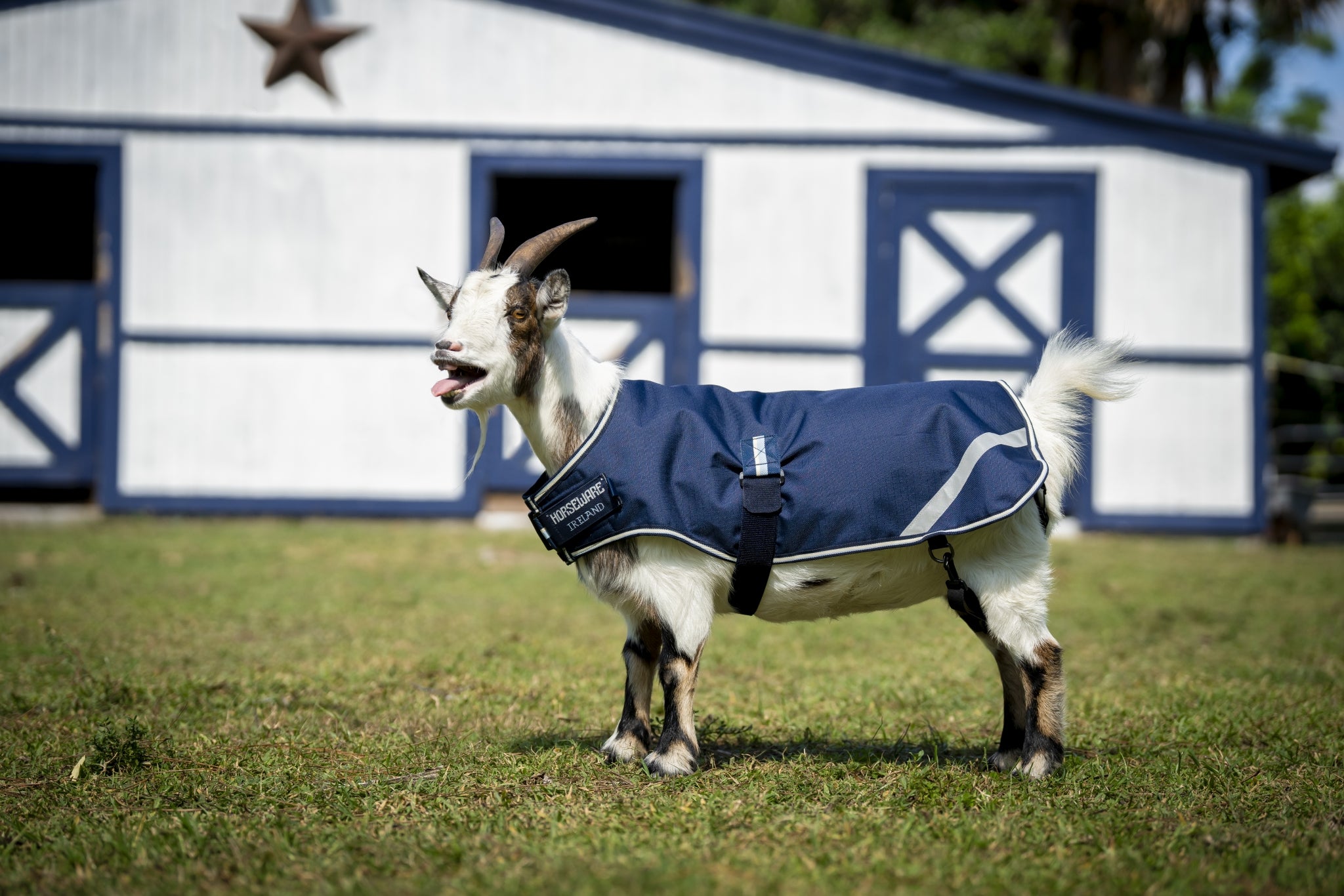 Horseware Goat Coat 100g