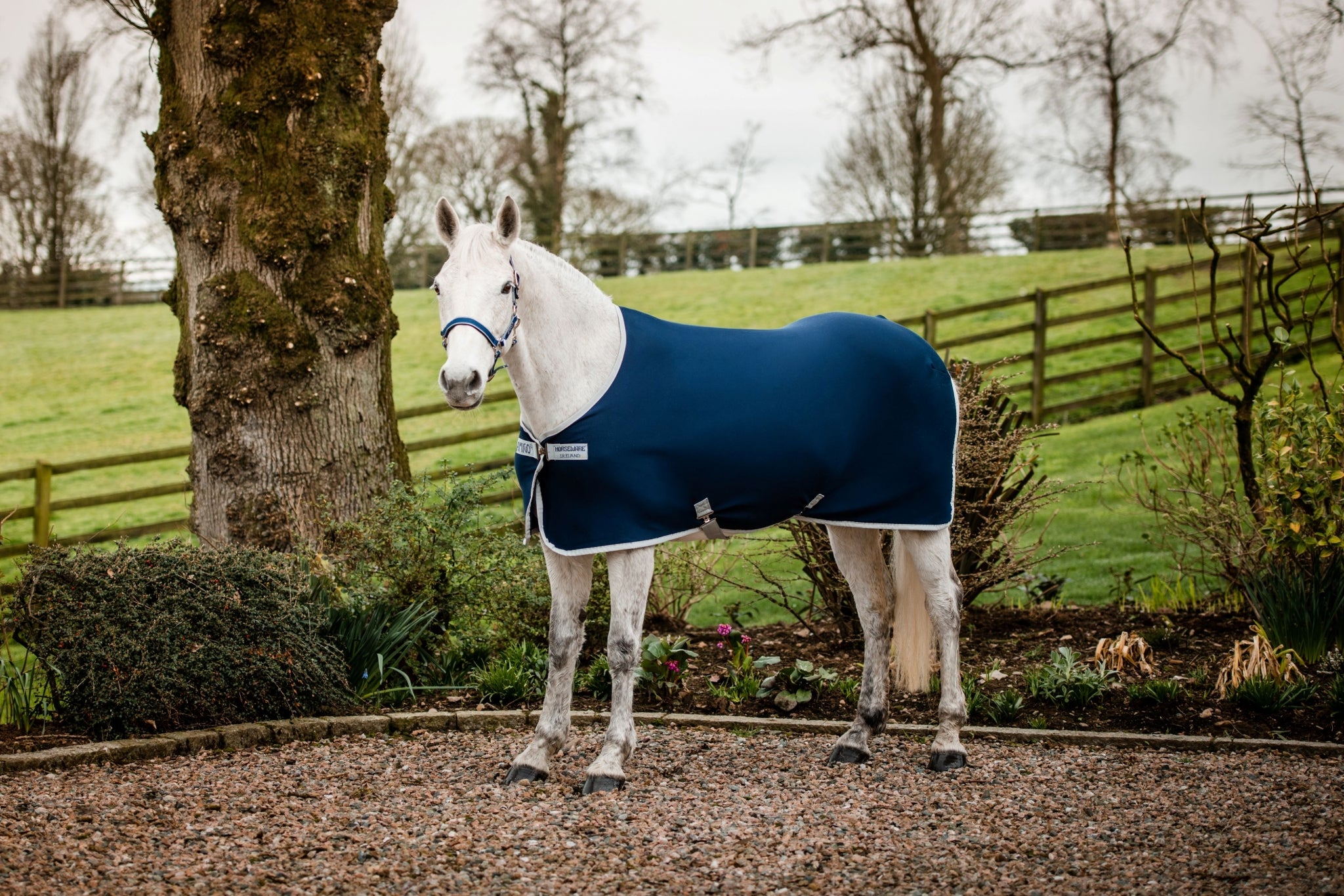 Amigo Jersey Pony Cooler