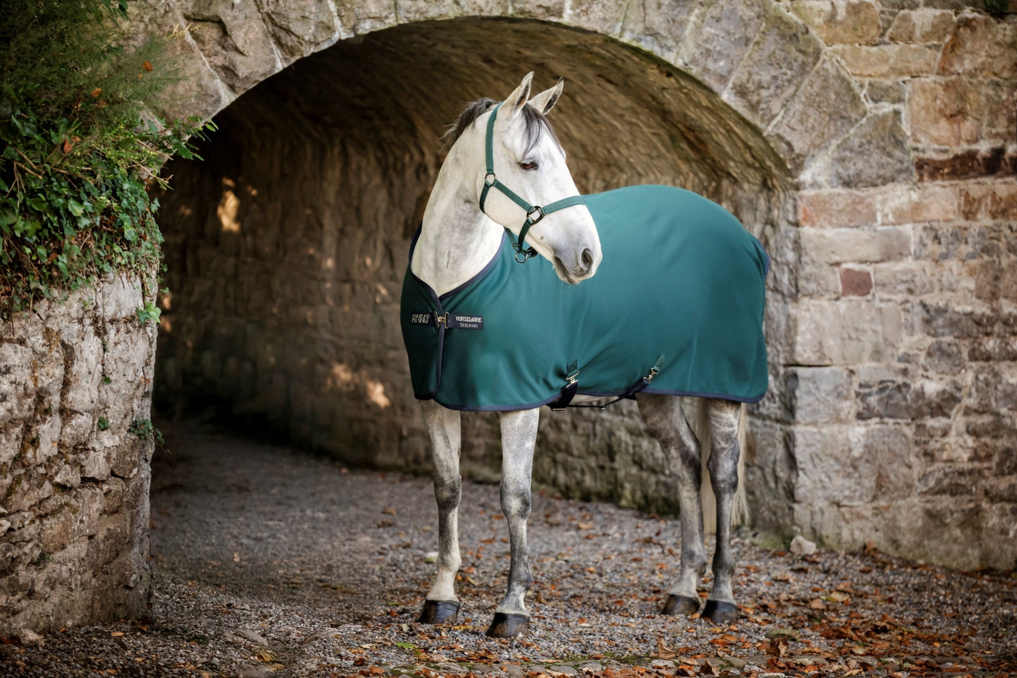 Amigo Jersey Pony Cooler