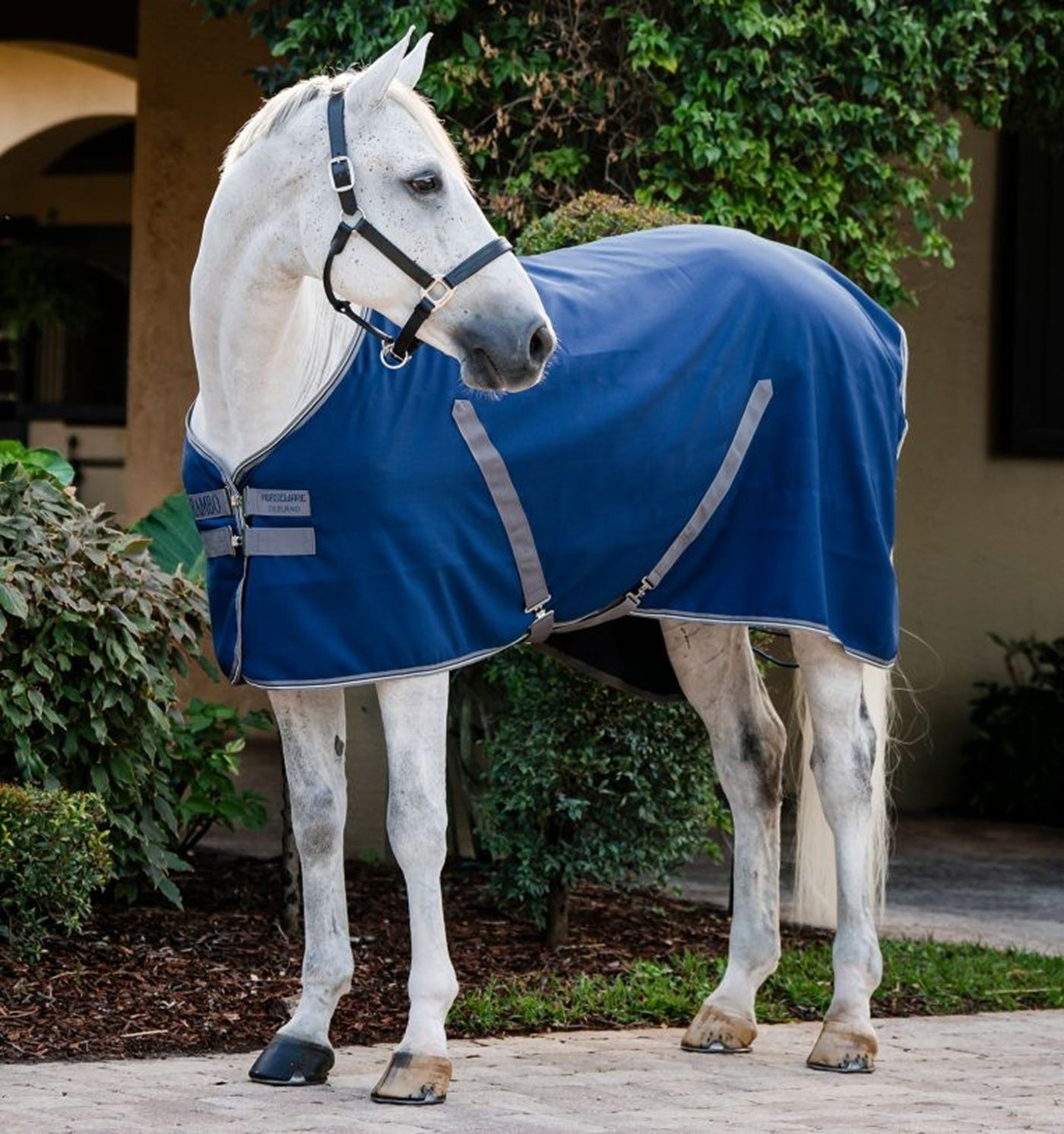 Rambo Stable Sheet - Embossed Lining