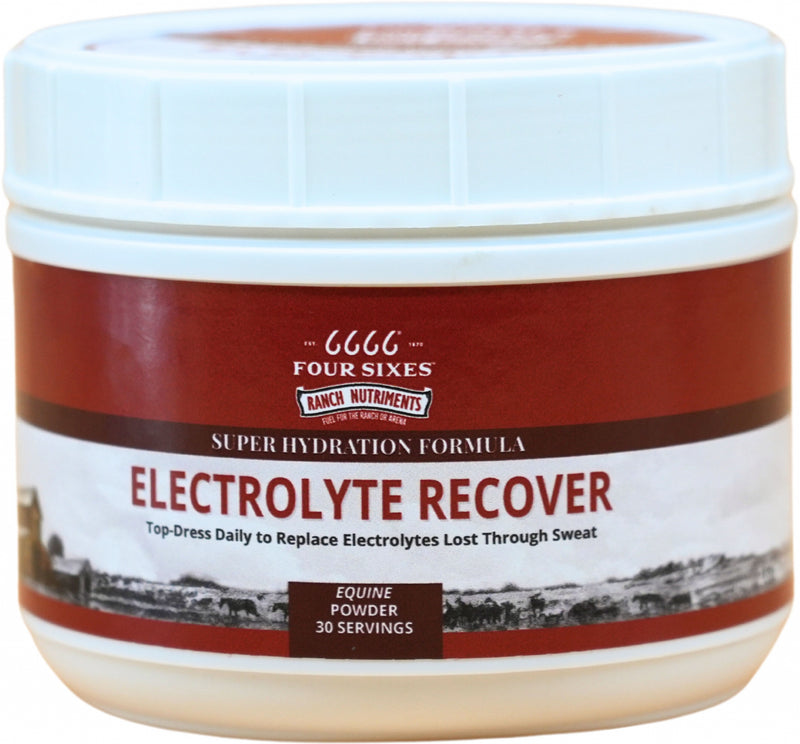 6666 Electrolyte Recover Powder