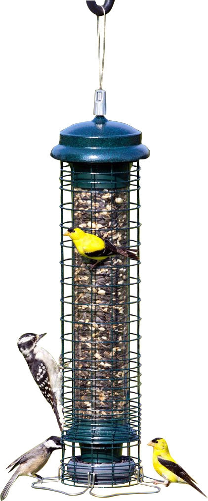 Brome Squirrel Solution 150 Wild Bird Feeder