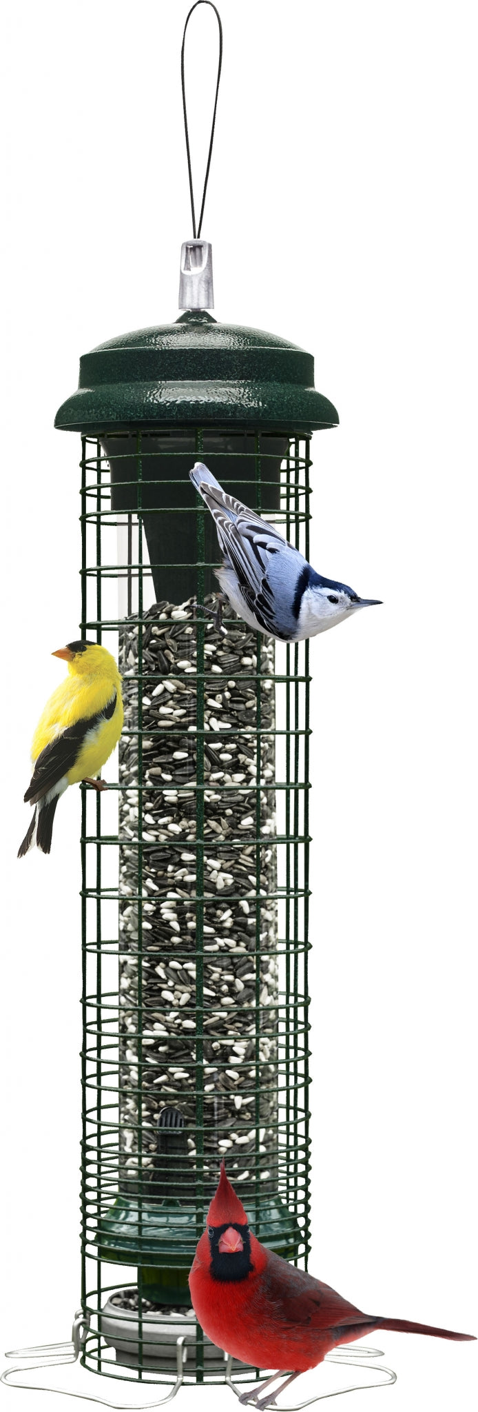 Brome Squirrel Solution 150 Wild Bird Feeder