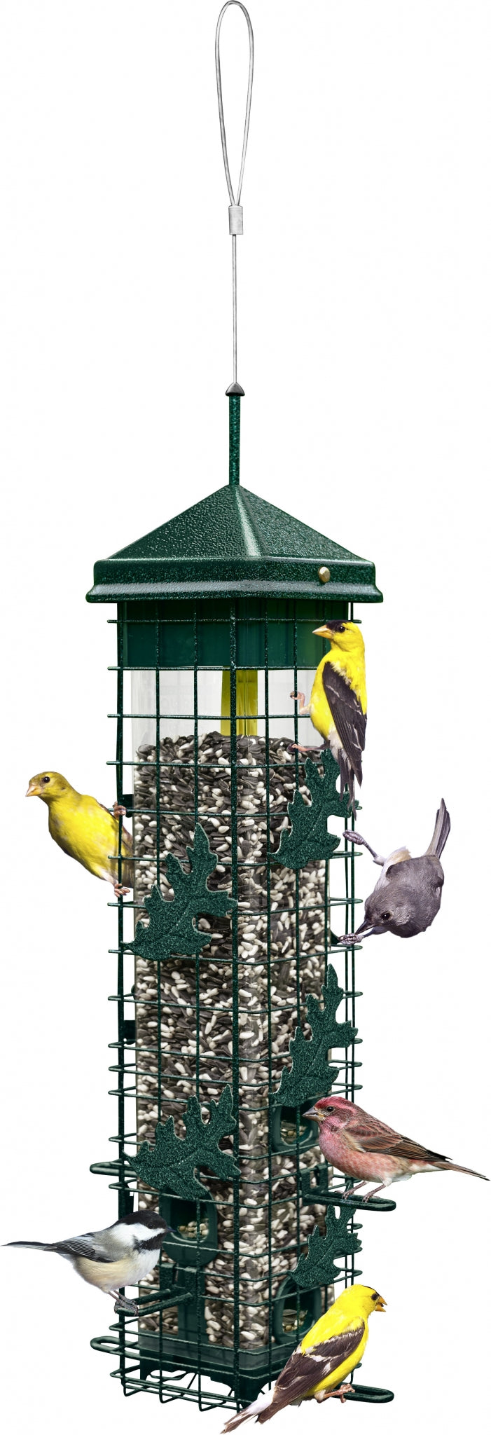 Brome Squirrel Solution 200 Wild Bird Feeder