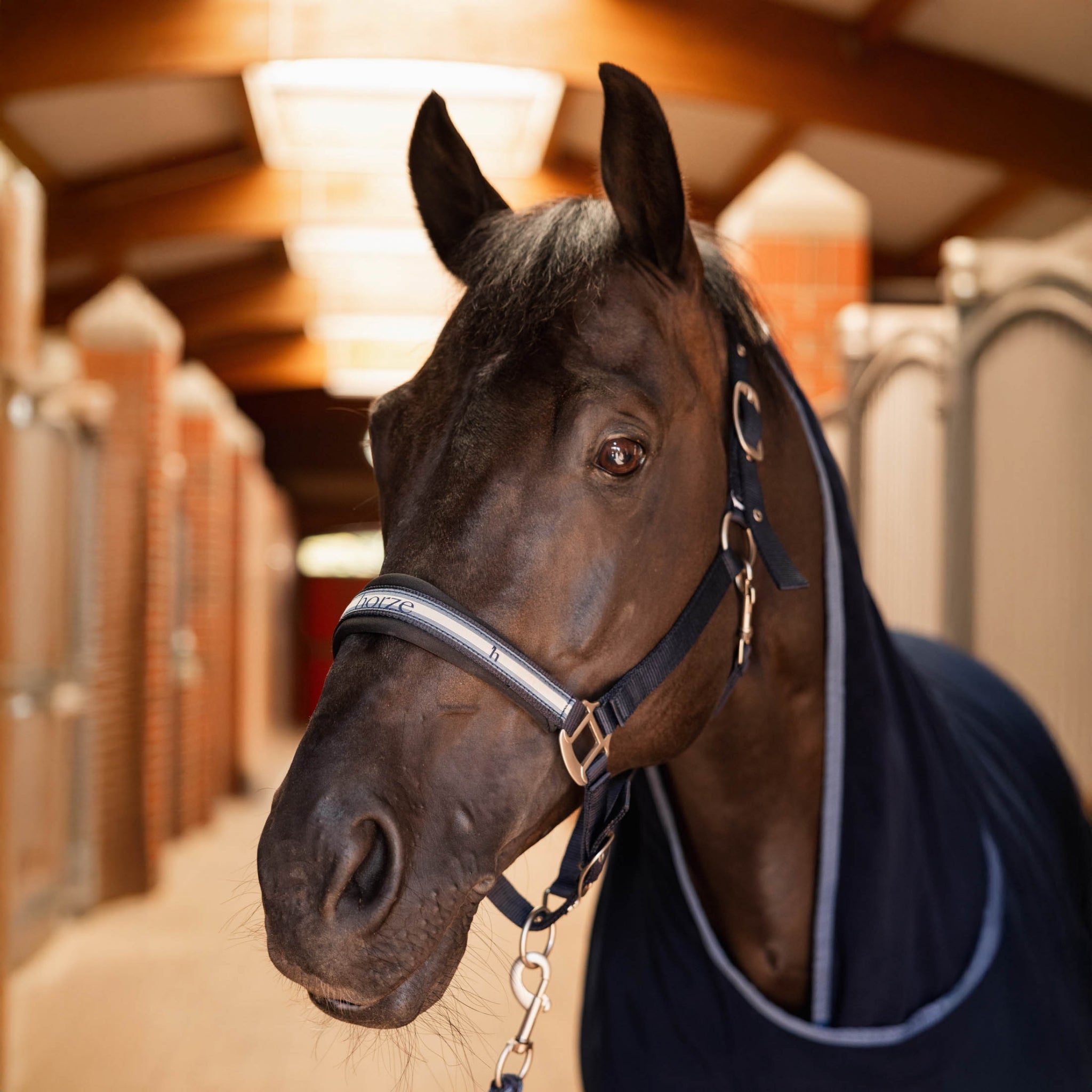 Horze Eternal Gaze Halter and Lead Set