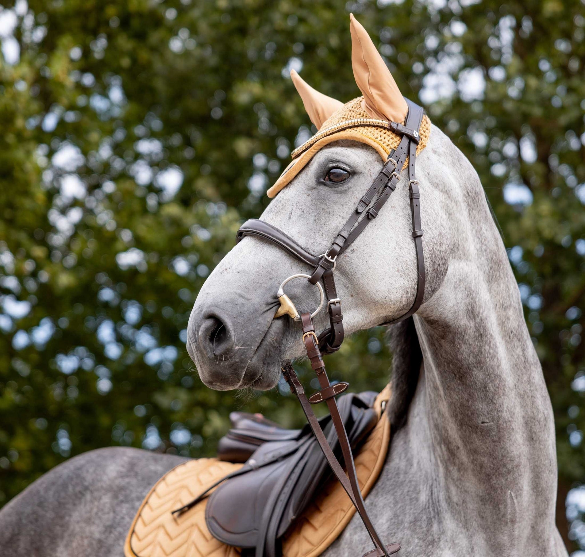 Horze Delemont Ear Net