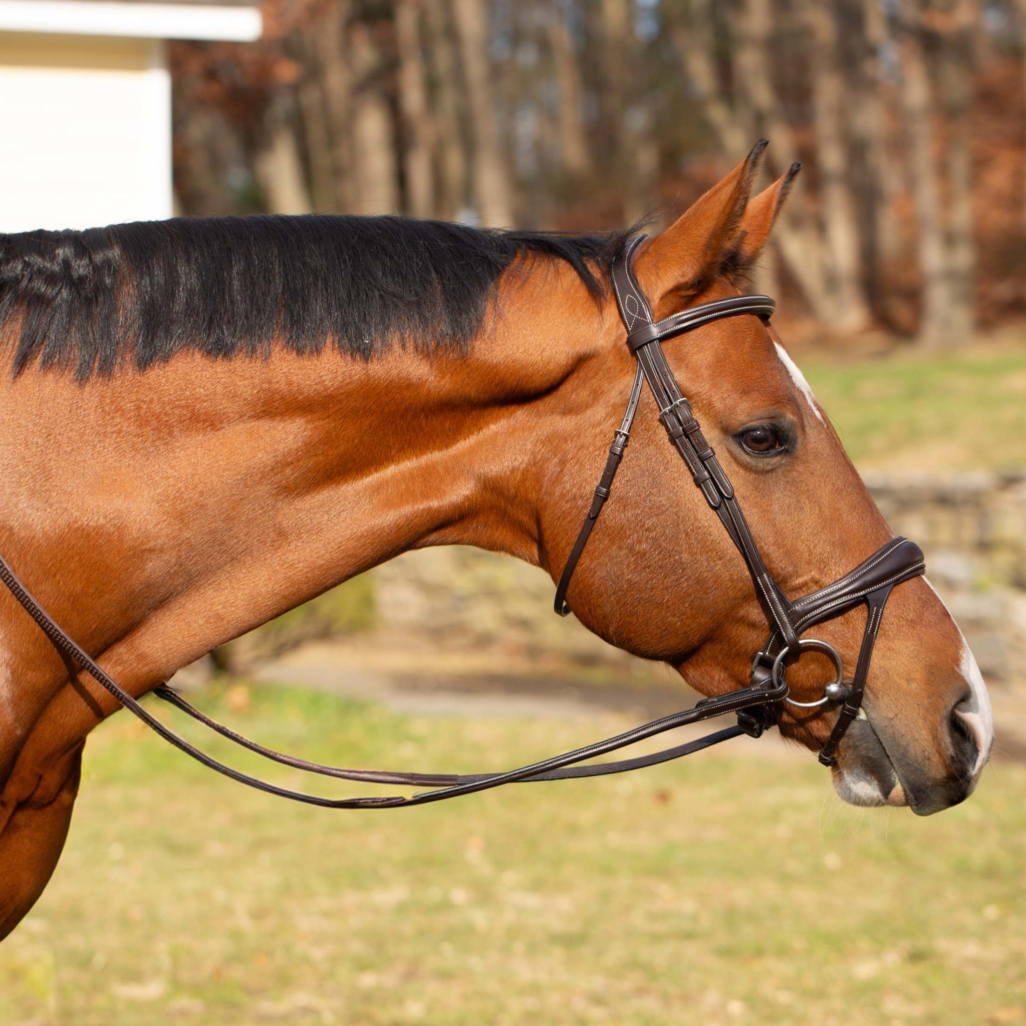 Equinavia Valkyrie Alternative Flash Bridle with Rubber Reins